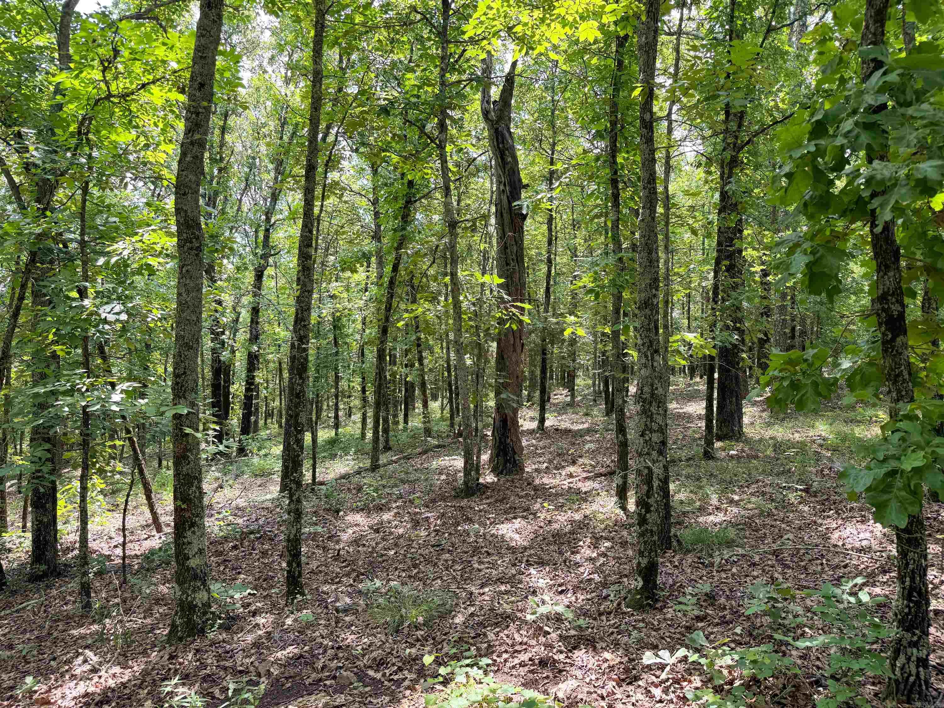10  High Point  Mayflower, AR
