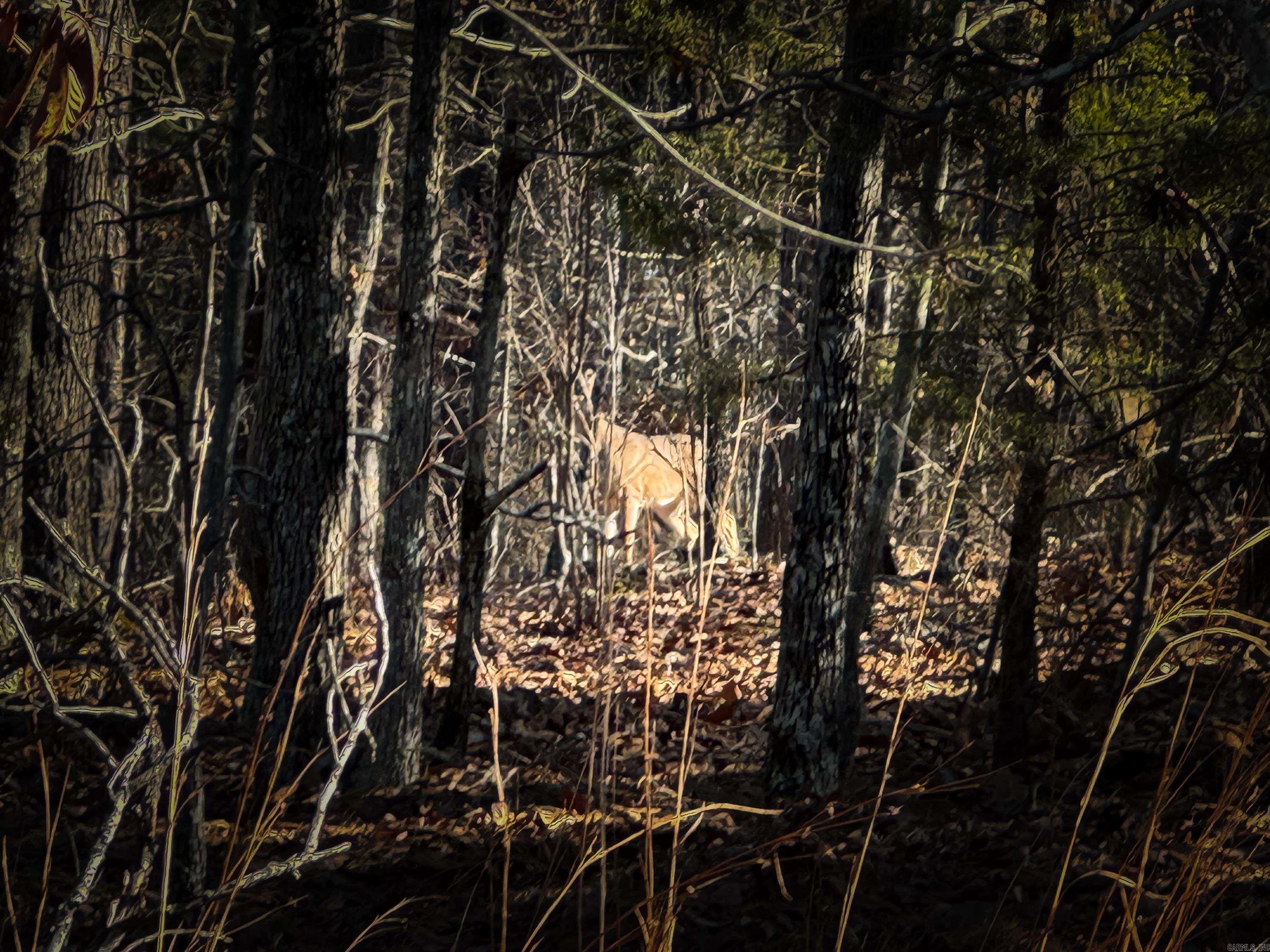 10  High Point  Mayflower, AR