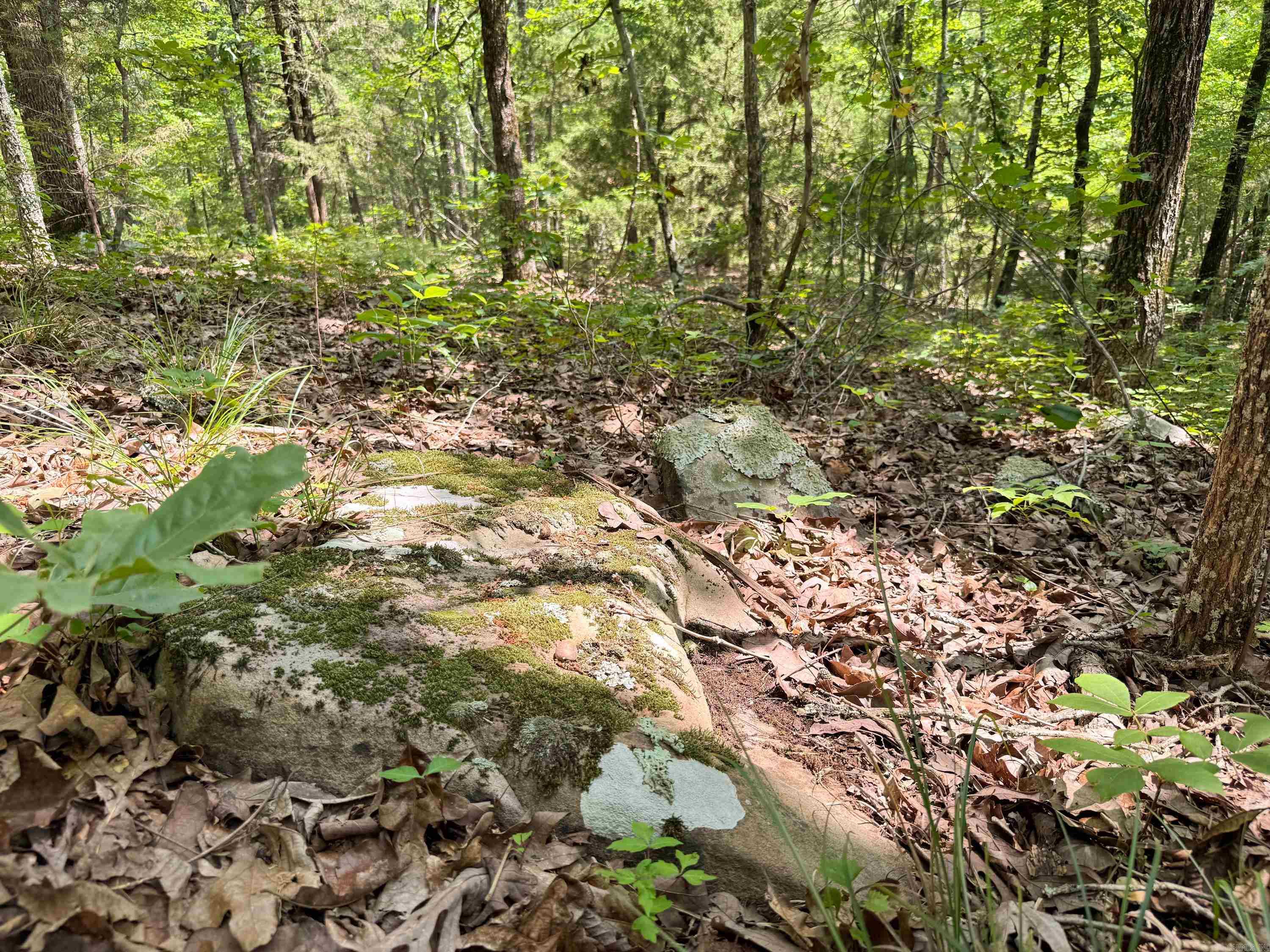 10  High Point  Mayflower, AR