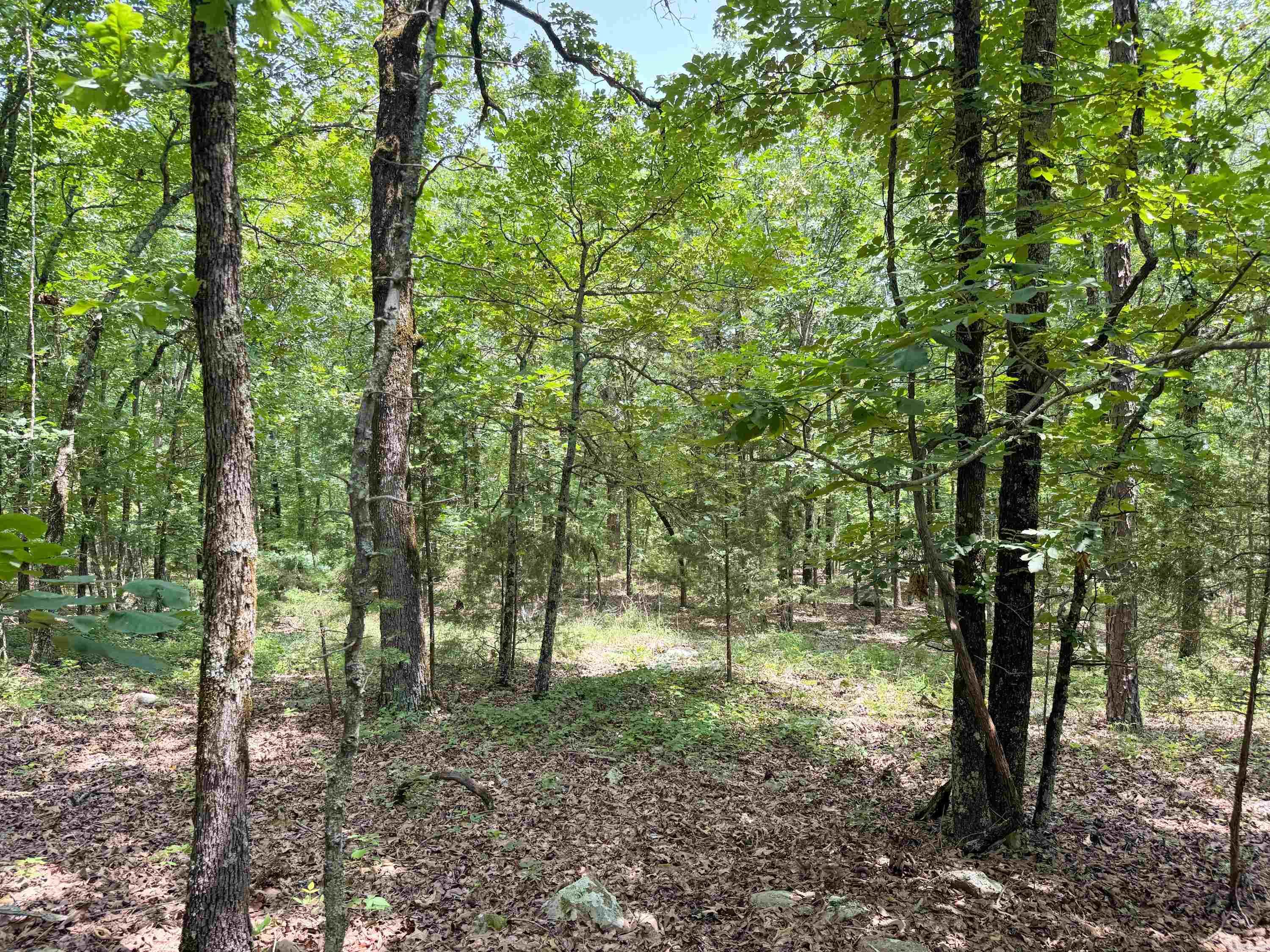 10  High Point  Mayflower, AR