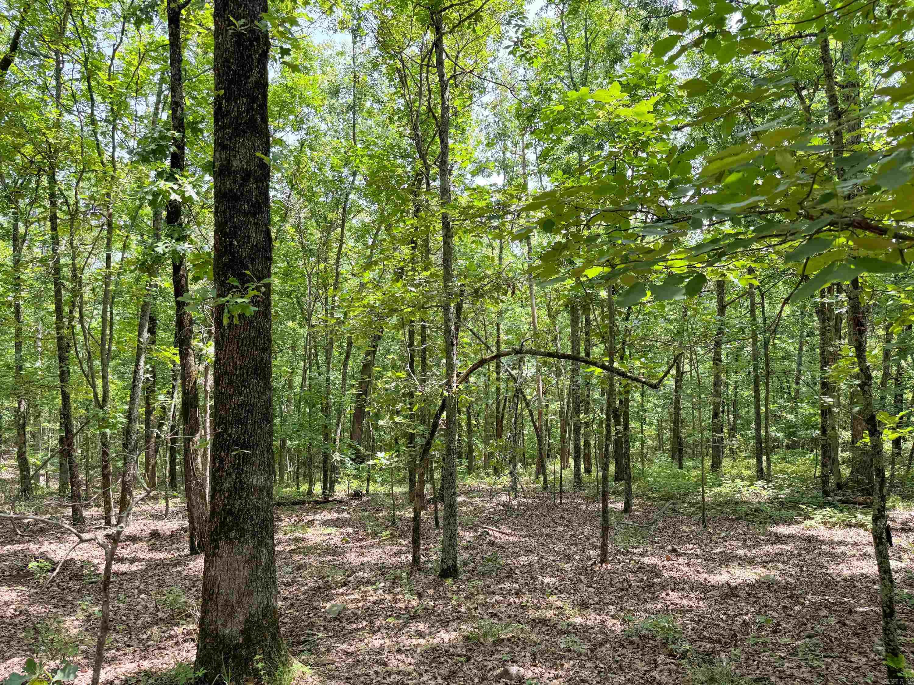 10  High Point  Mayflower, AR