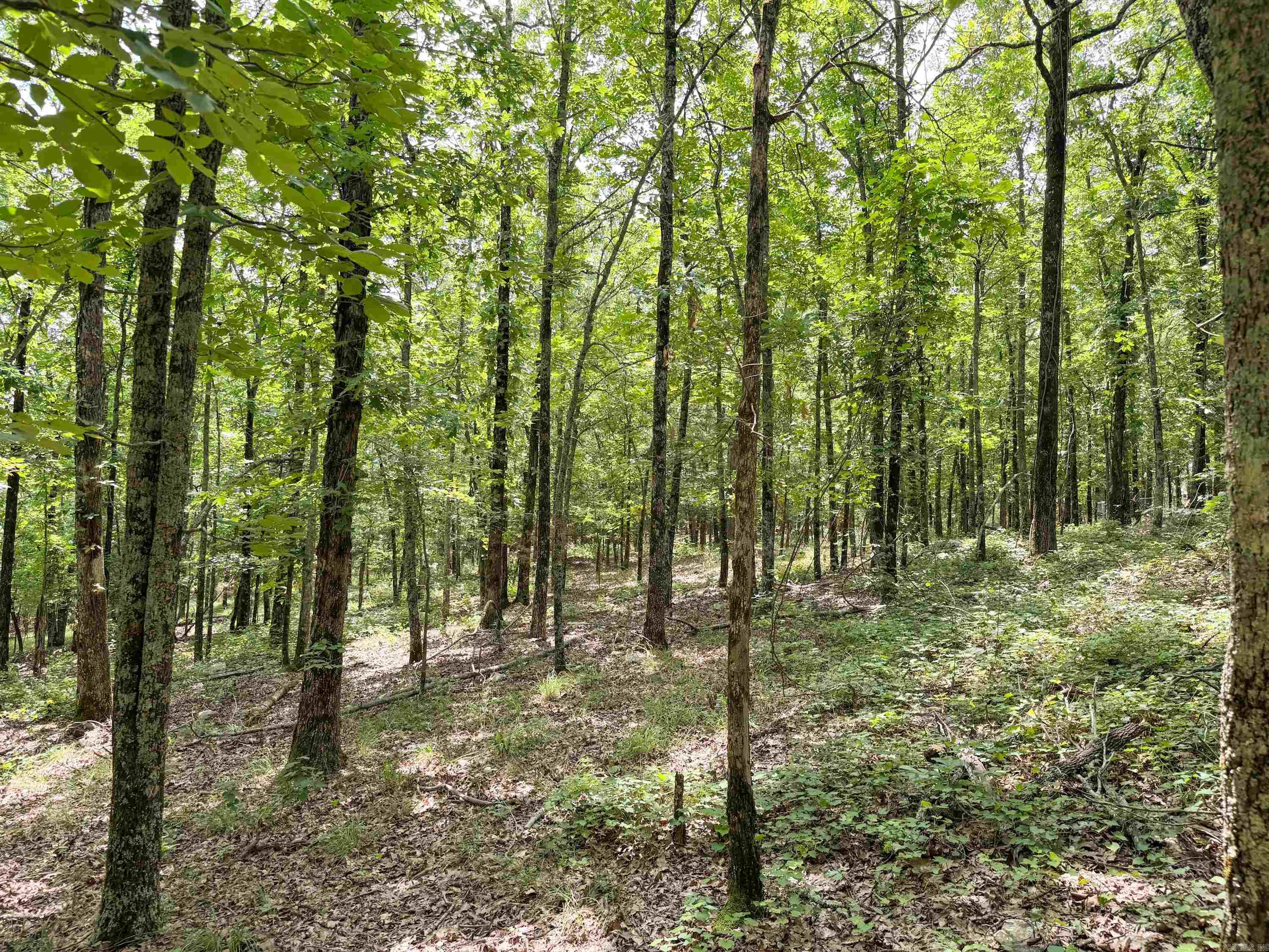 10  High Point  Mayflower, AR
