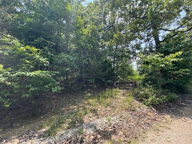 46  Worthen  Mountain Home, AR