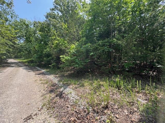 46  Worthen  Mountain Home, AR