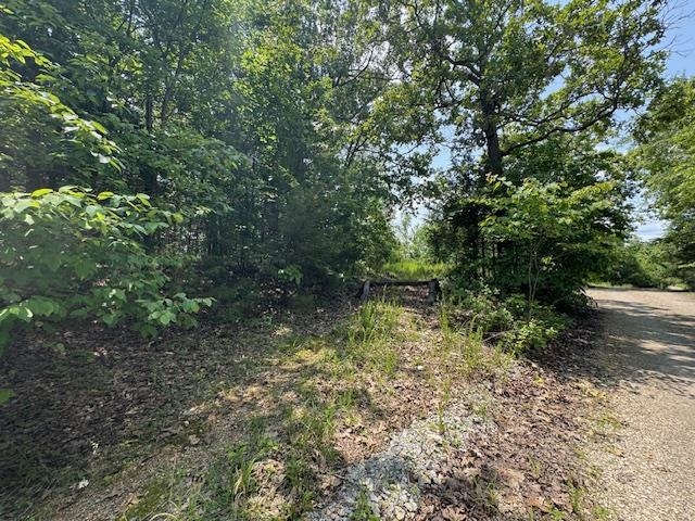 46  Worthen  Mountain Home, AR