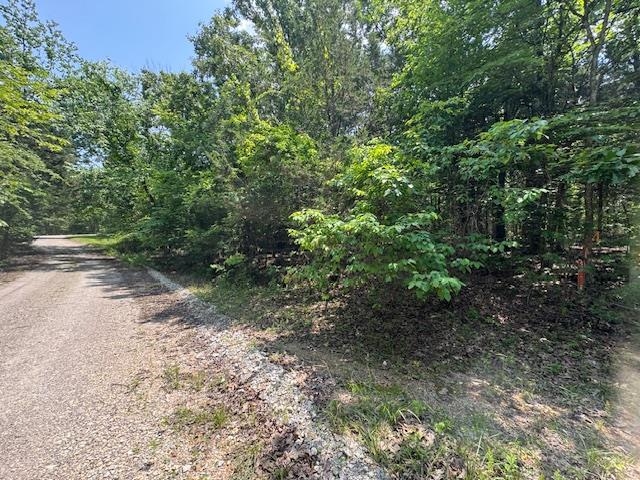 46  Worthen  Mountain Home, AR