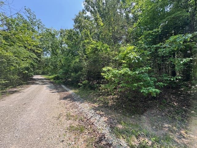 46  Worthen  Mountain Home, AR