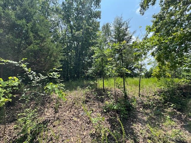 46  Worthen  Mountain Home, AR