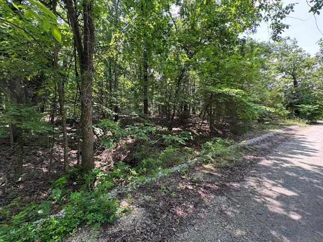 46  Worthen  Mountain Home, AR