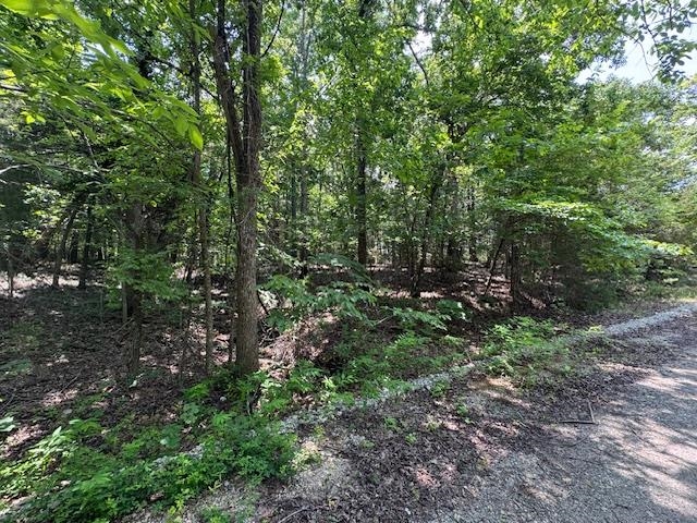 46  Worthen  Mountain Home, AR