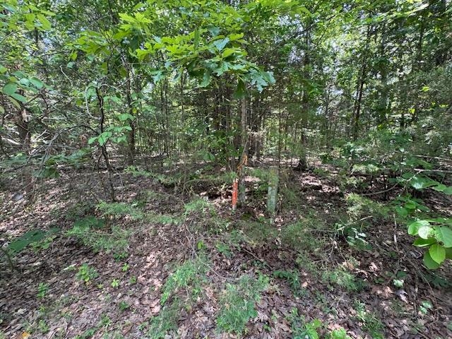 46  Worthen  Mountain Home, AR