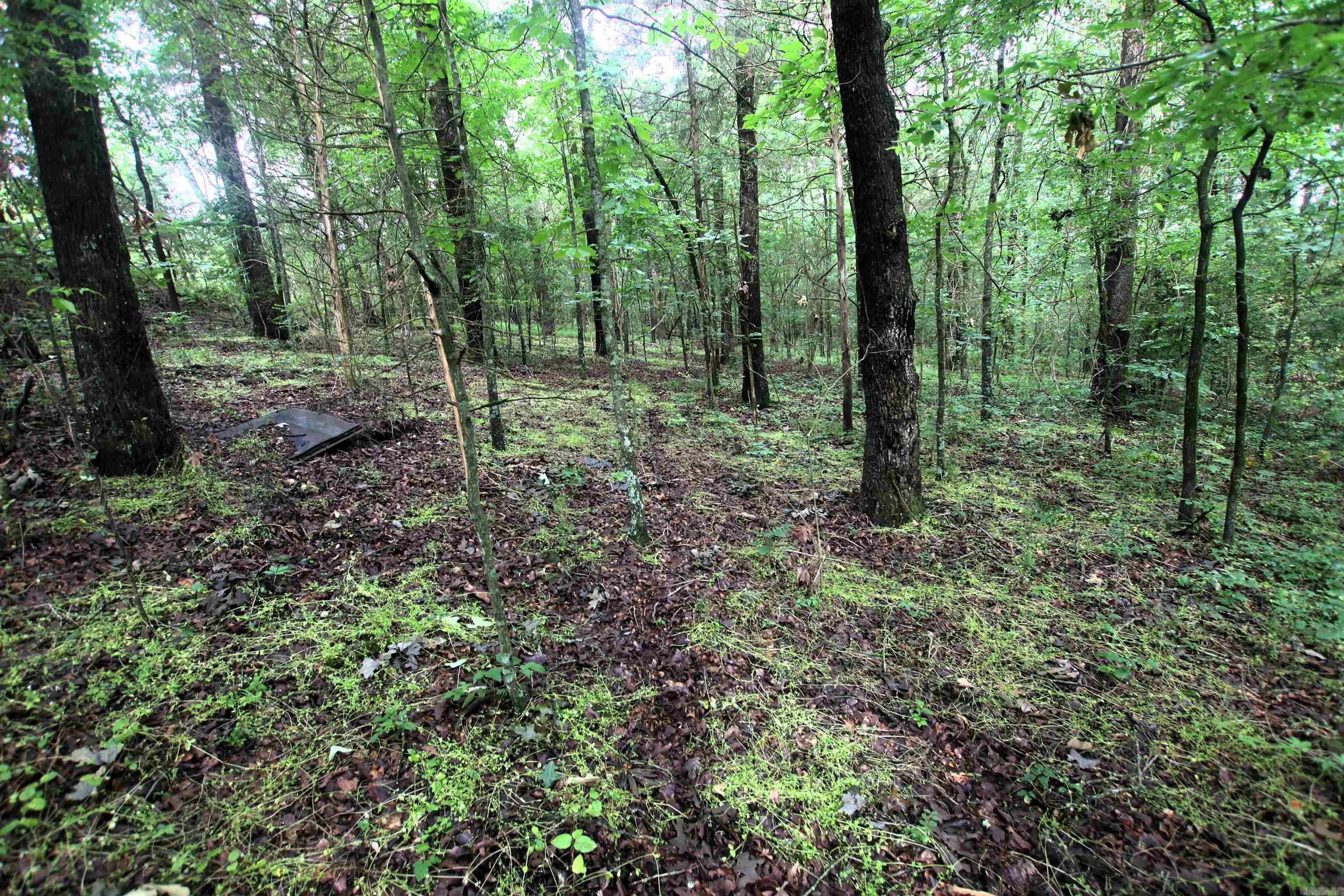 000  AVE 5 SW  Atkins, AR
