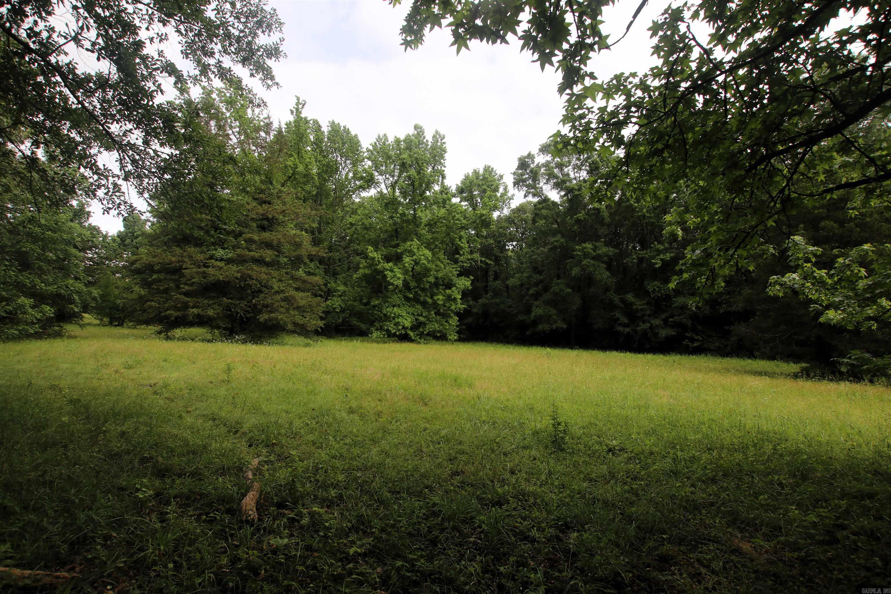 000  AVE 5 SW  Atkins, AR