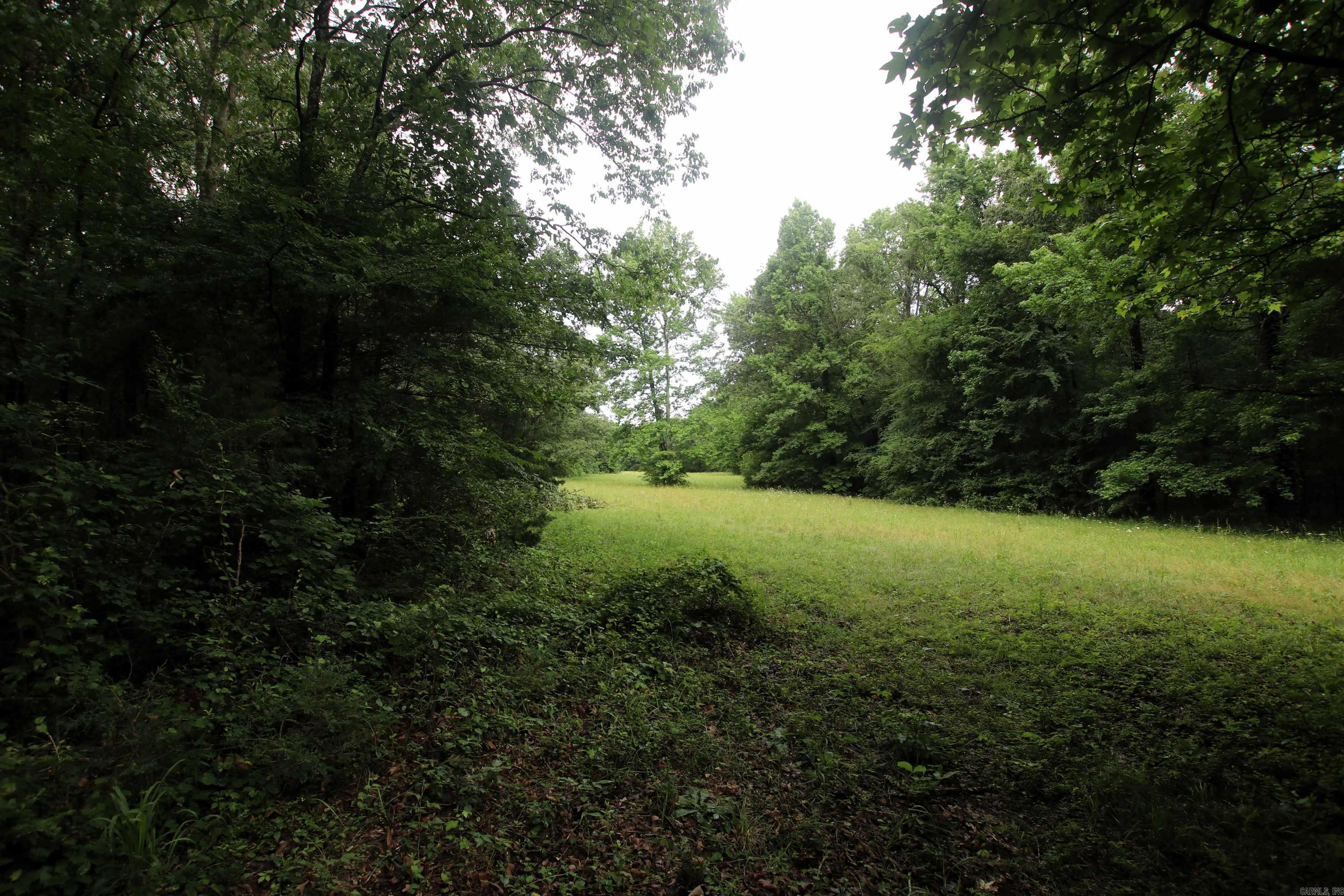 000  AVE 5 SW  Atkins, AR