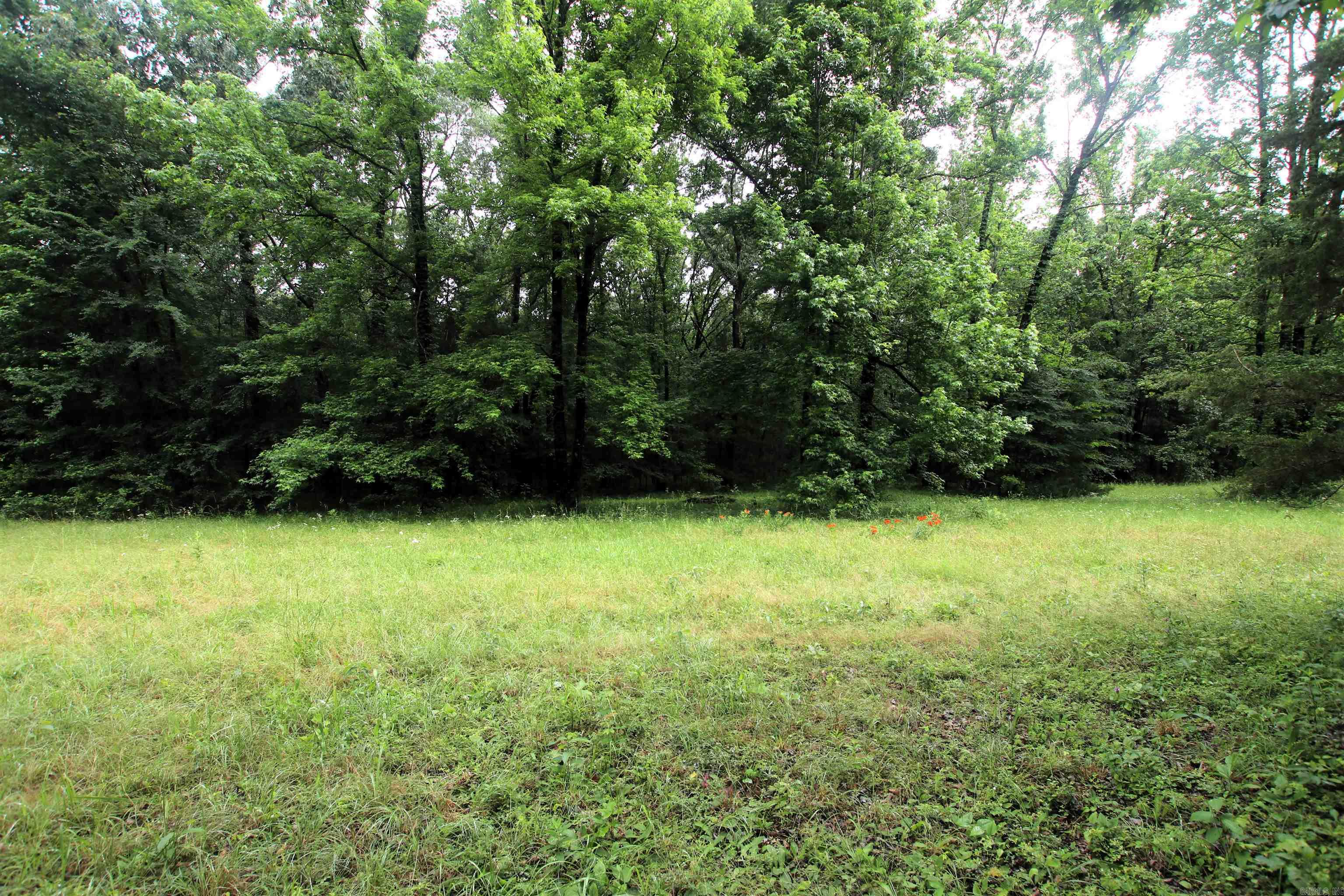 000  AVE 5 SW  Atkins, AR