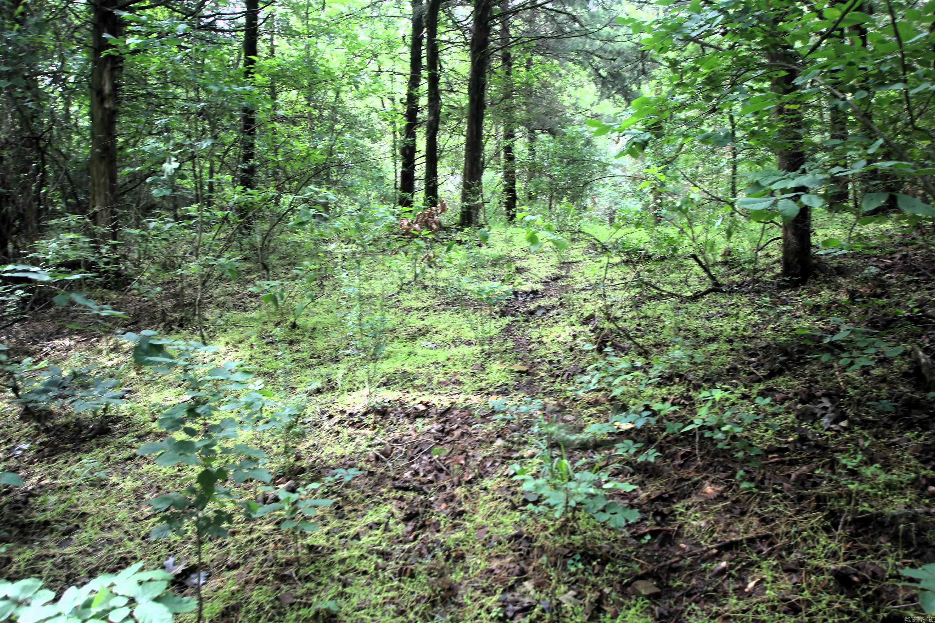 000  AVE 5 SW  Atkins, AR