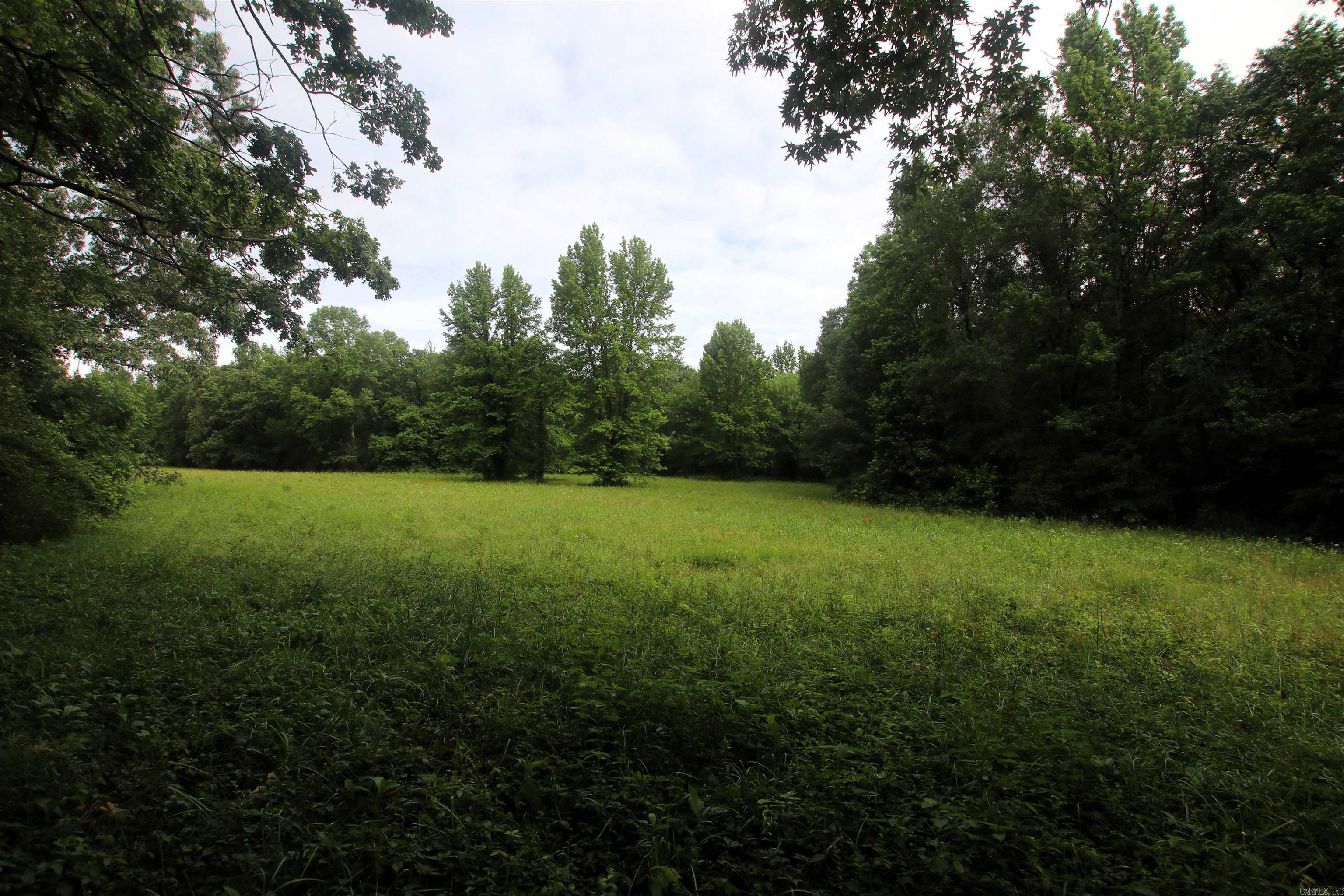 000  AVE 5 SW  Atkins, AR