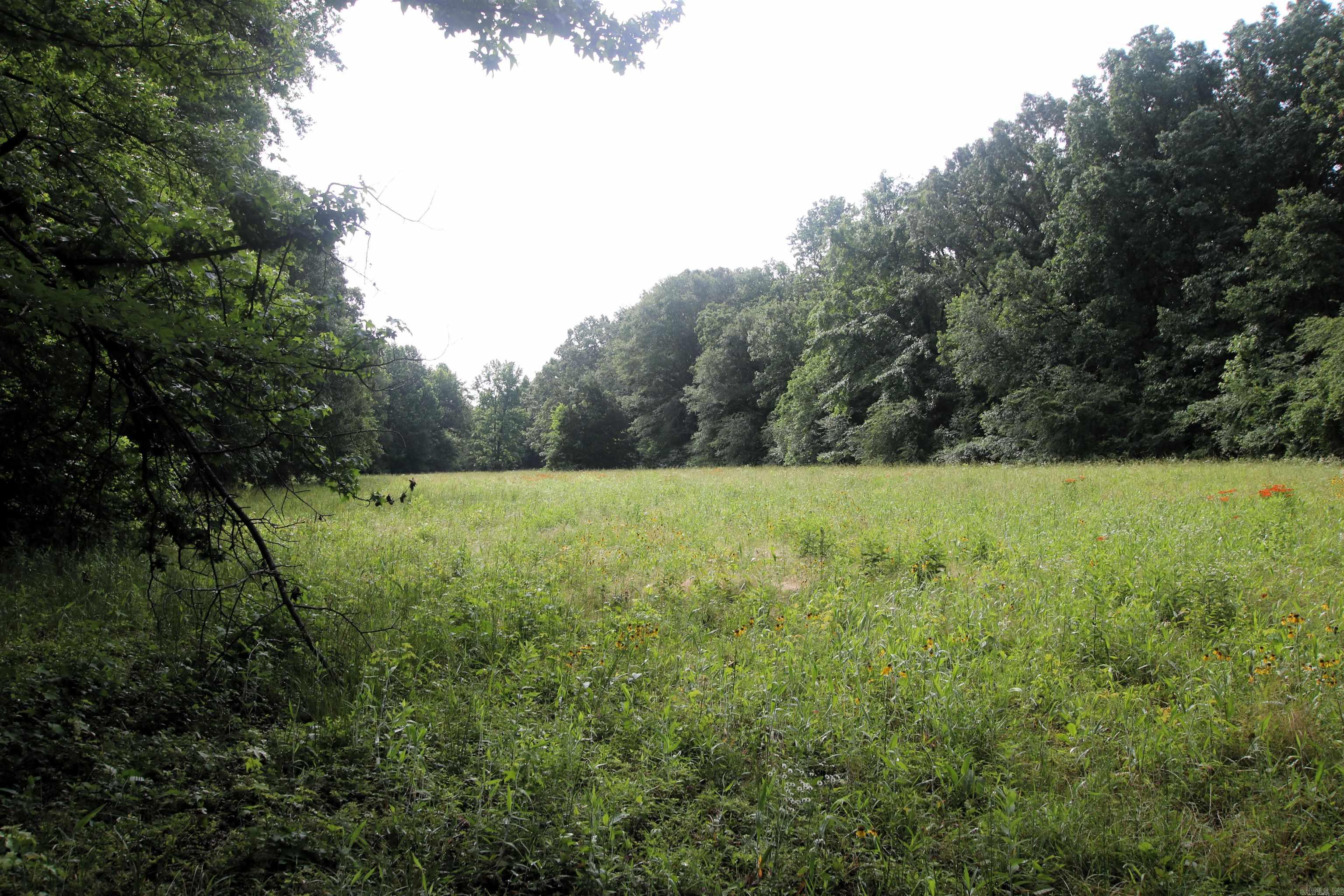 000  AVE 5 SW  Atkins, AR