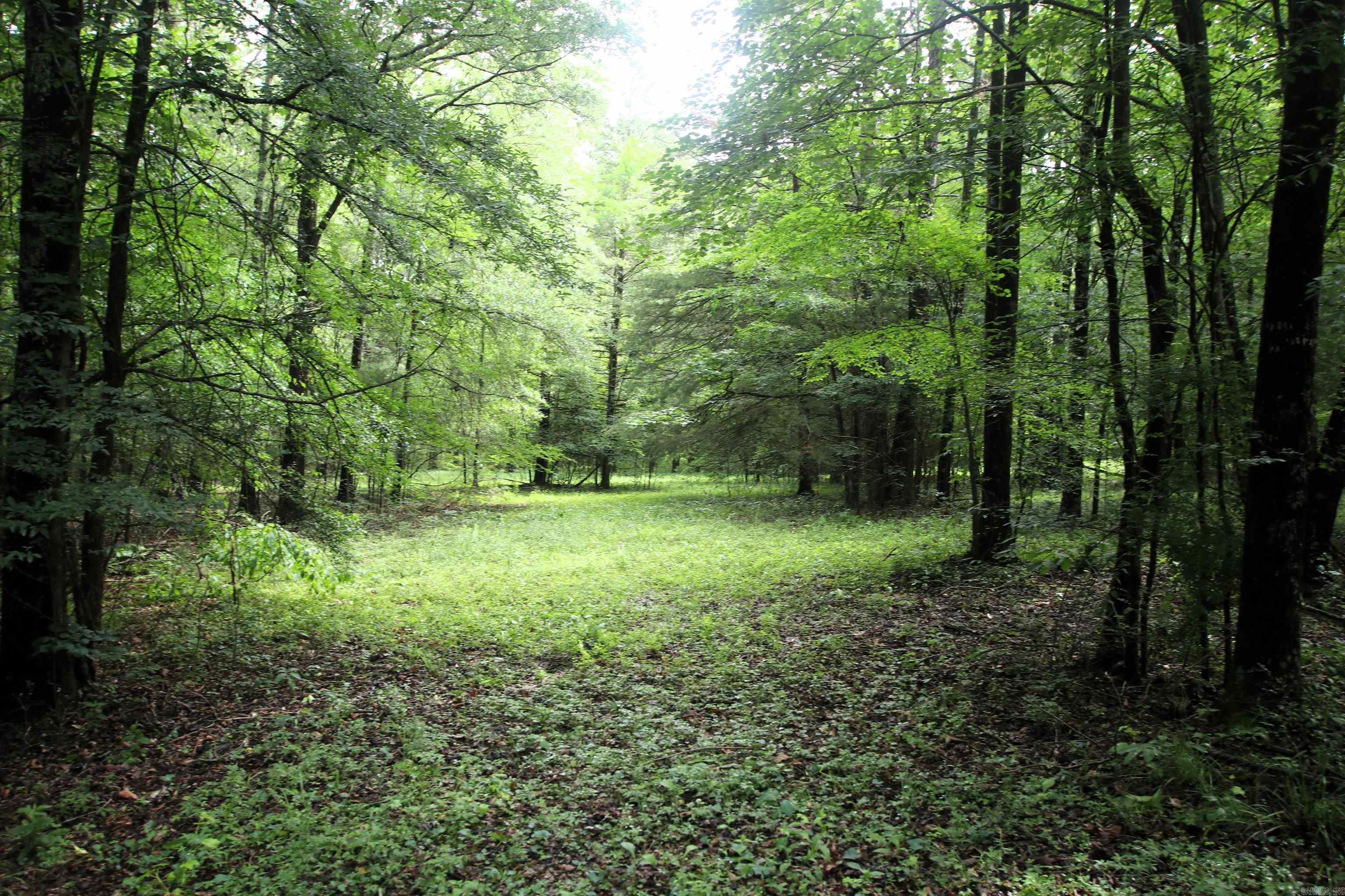 000  AVE 5 SW  Atkins, AR