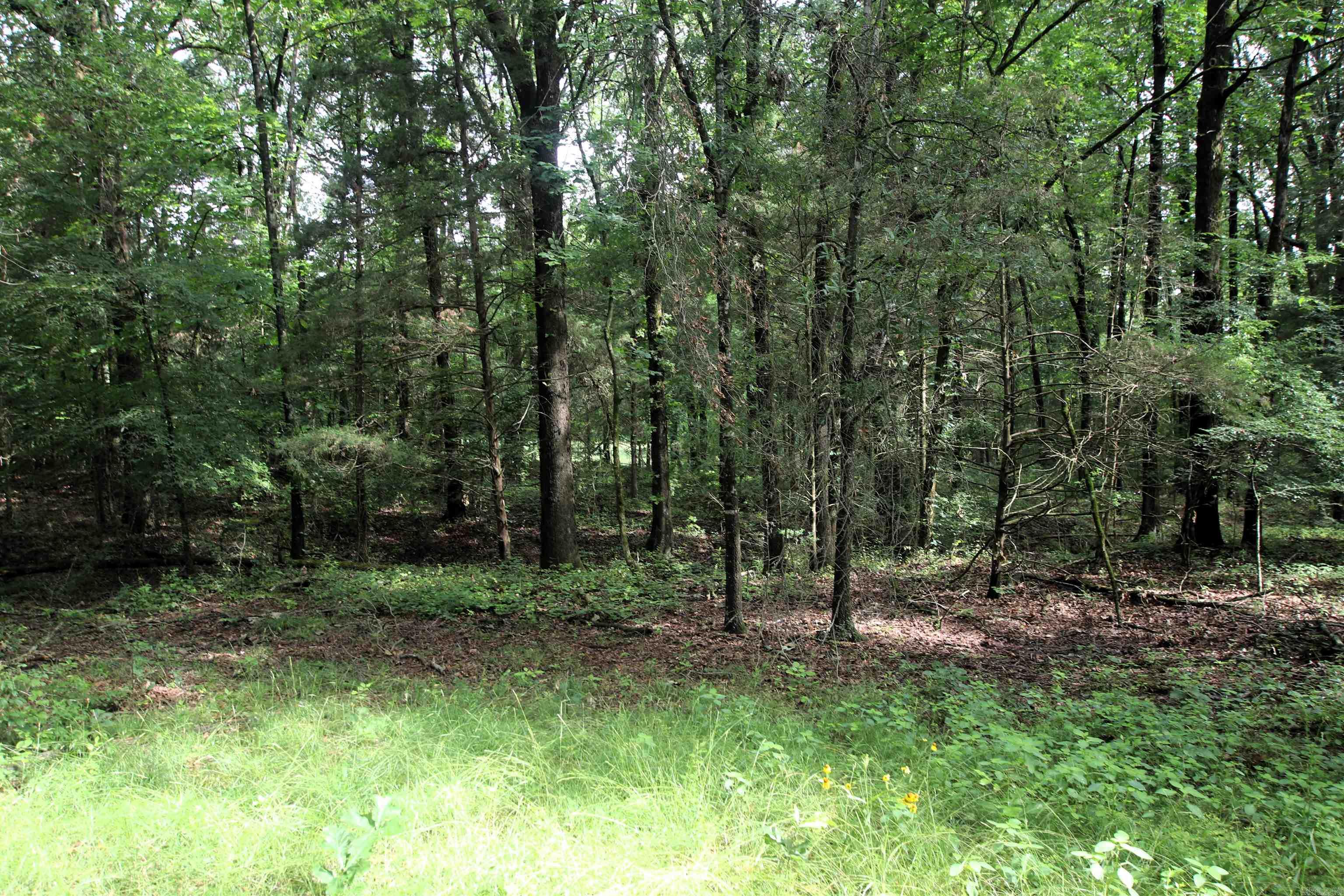 000  AVE 5 SW  Atkins, AR