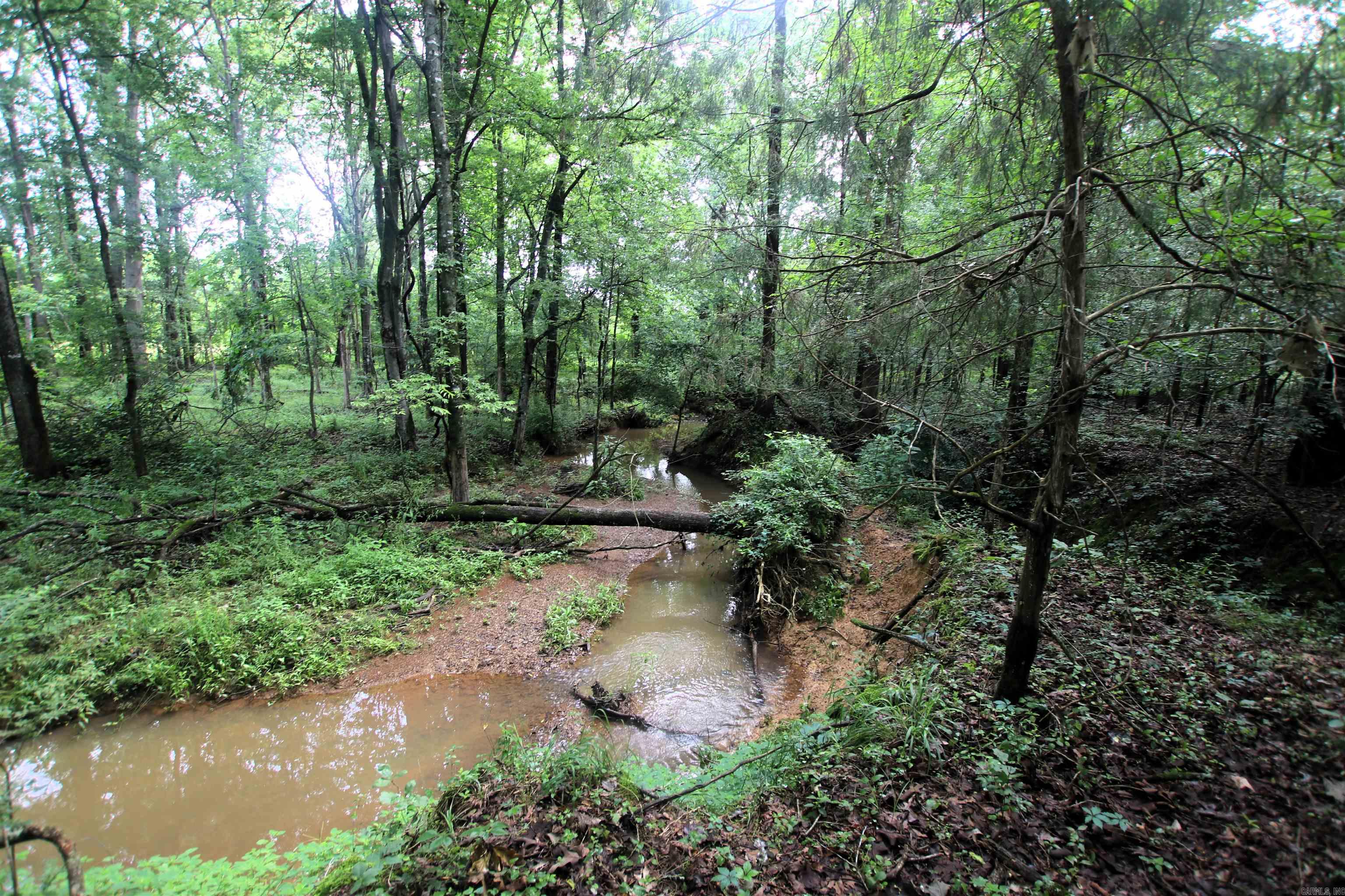 000  AVE 5 SW  Atkins, AR