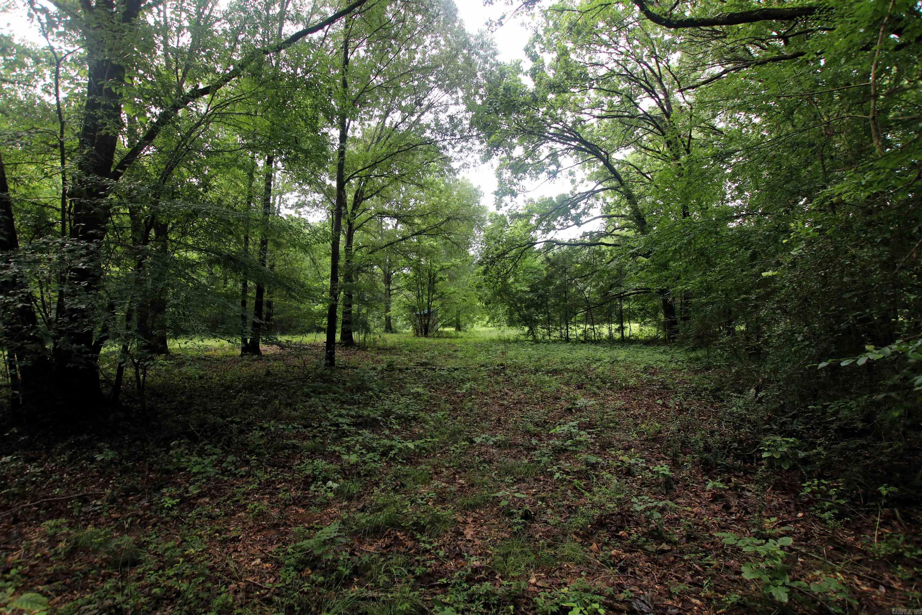 000  AVE 5 SW  Atkins, AR