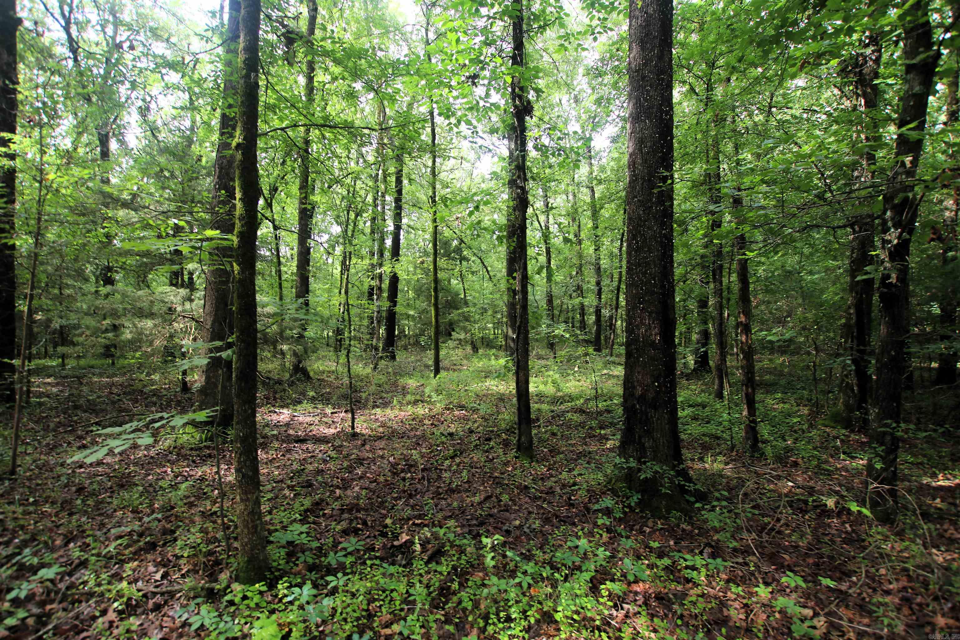 000  AVE 5 SW  Atkins, AR