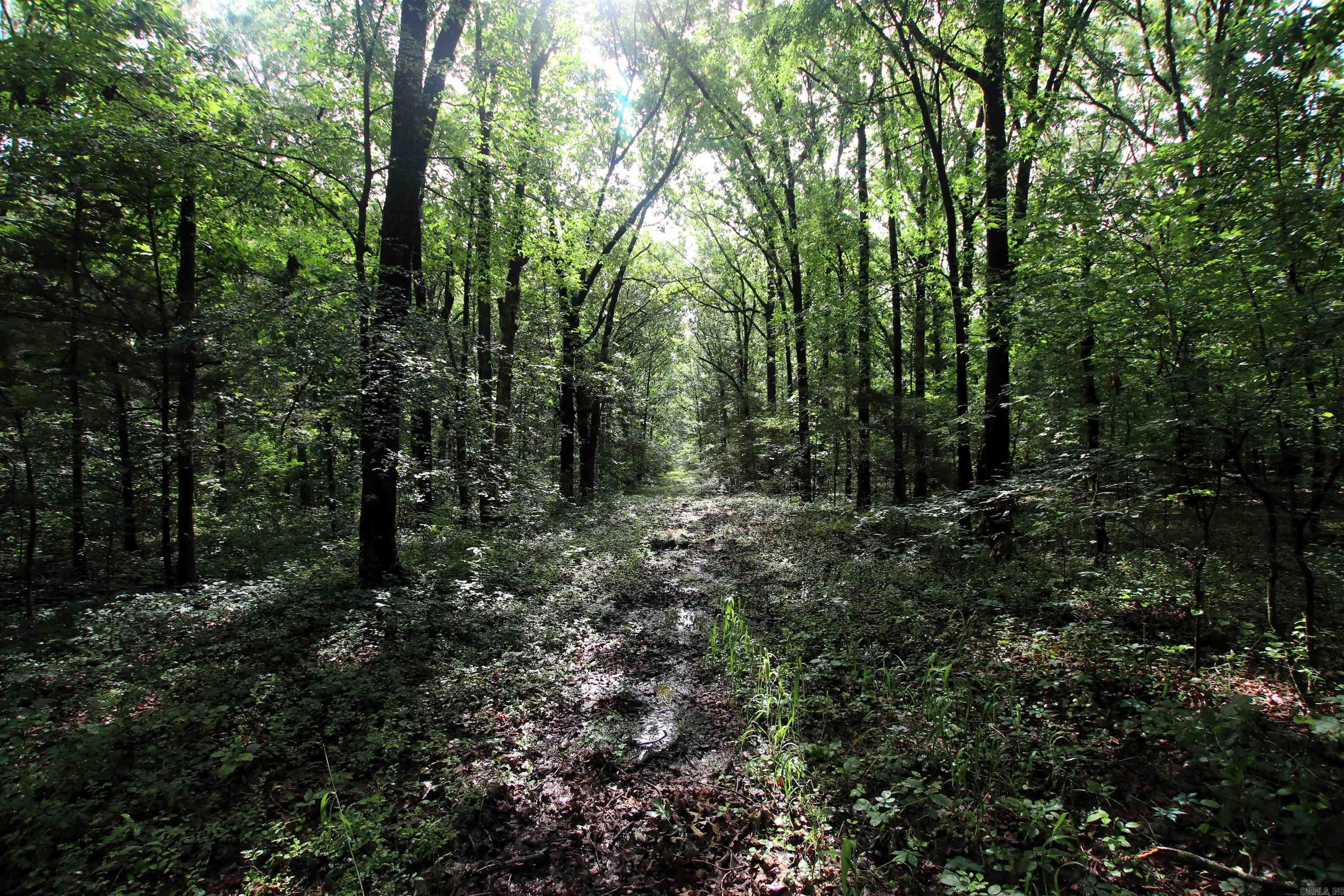 000  AVE 5 SW  Atkins, AR