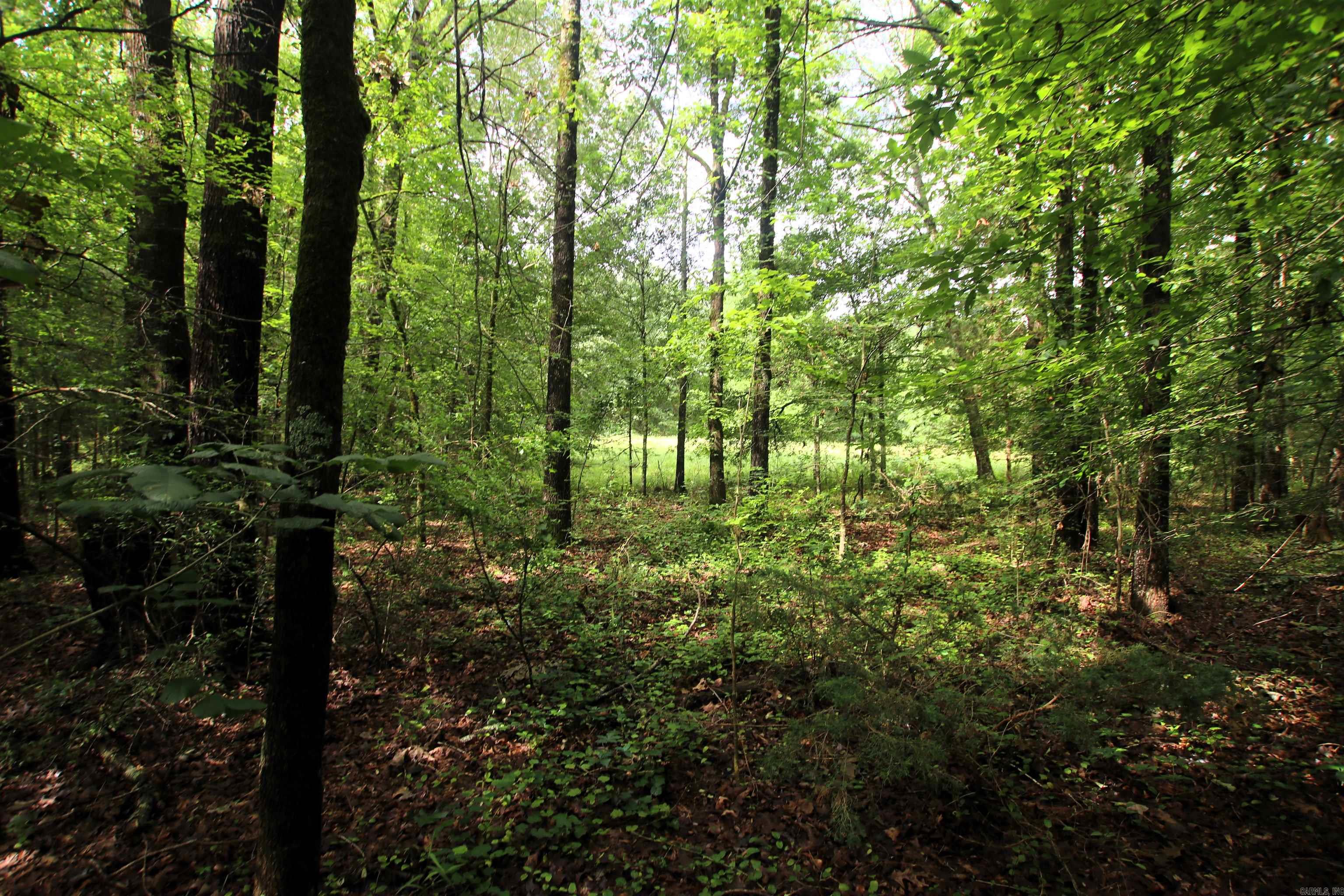000  AVE 5 SW  Atkins, AR