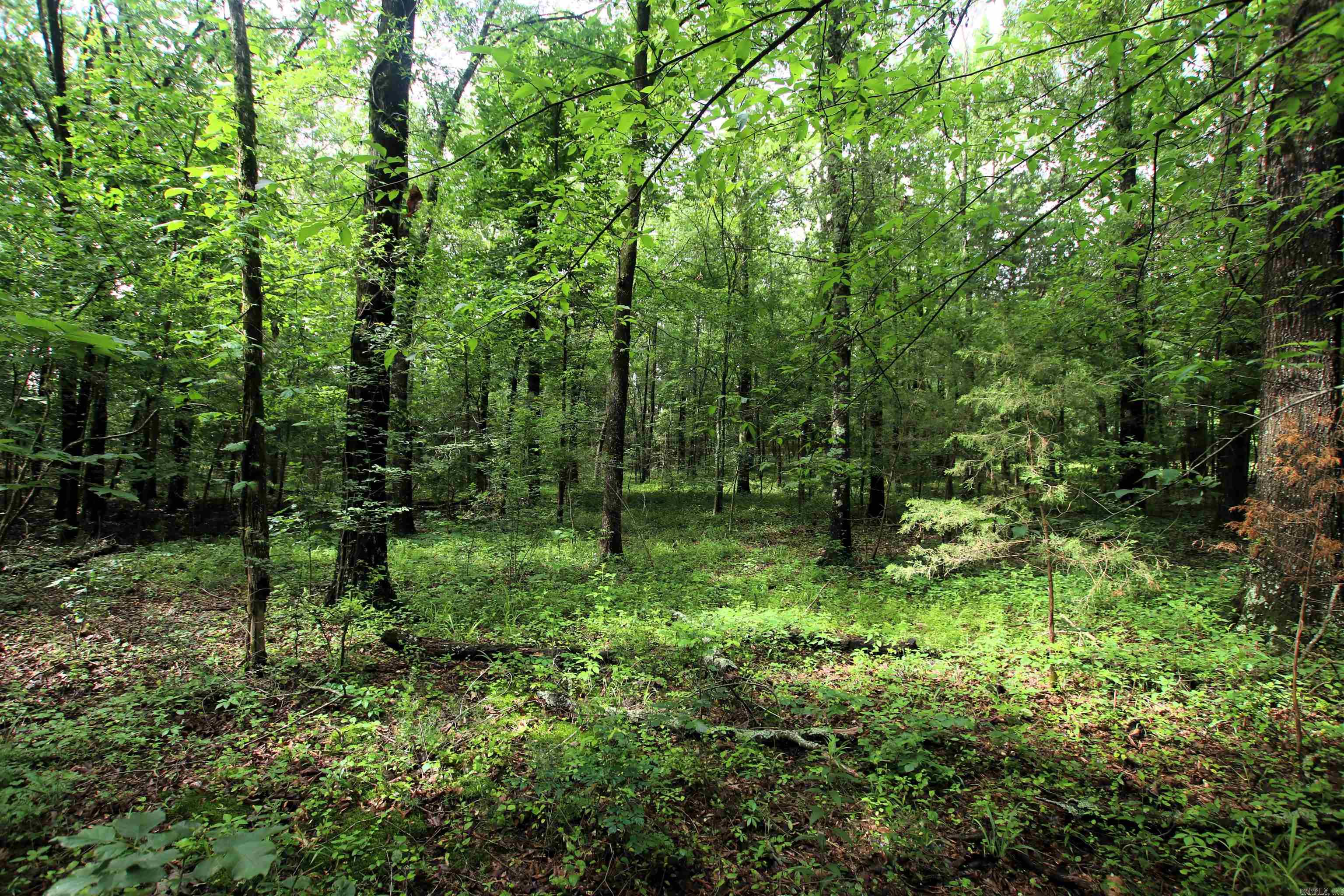 000  AVE 5 SW  Atkins, AR