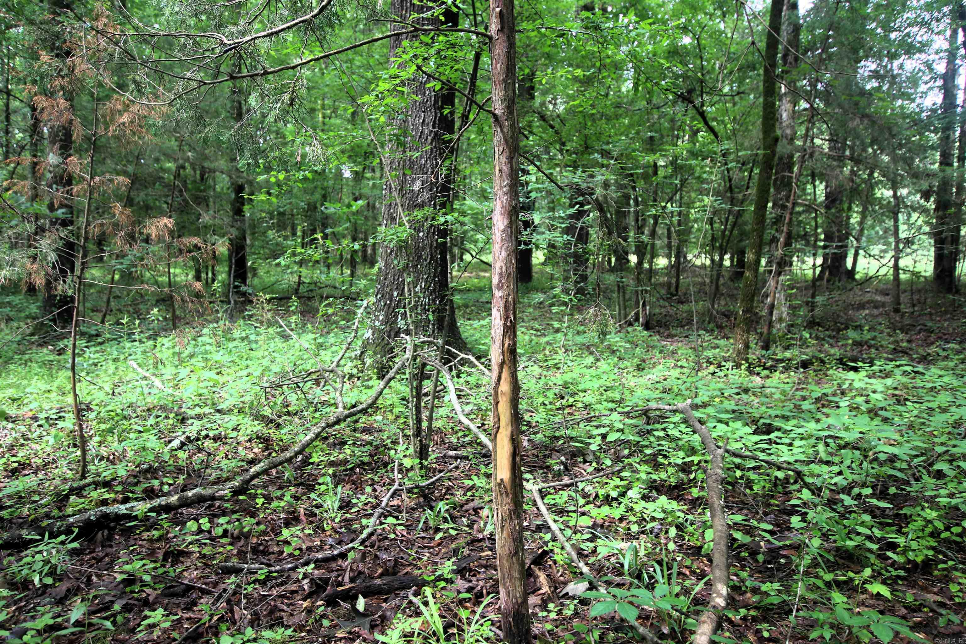 000  AVE 5 SW  Atkins, AR