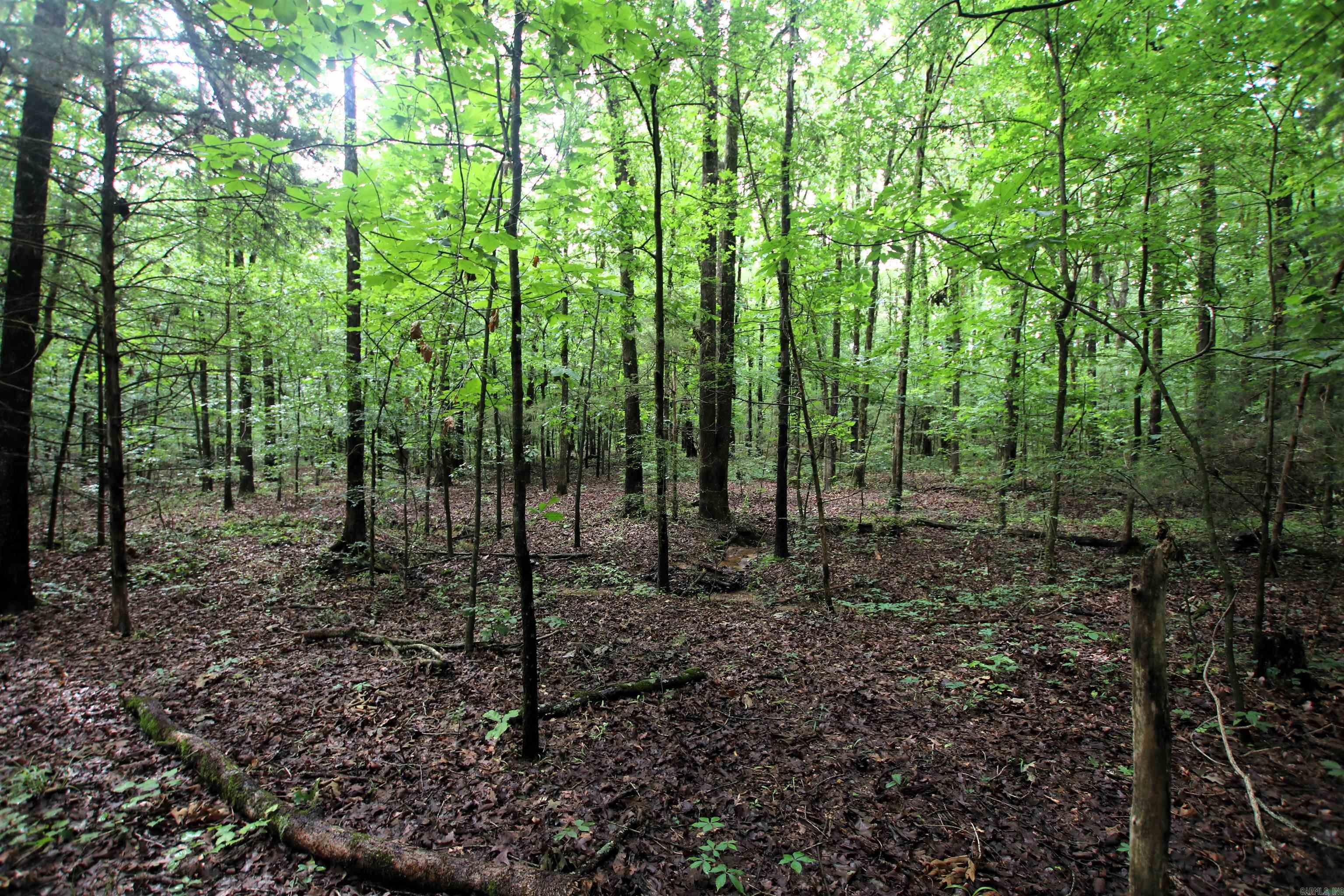 000  AVE 5 SW  Atkins, AR