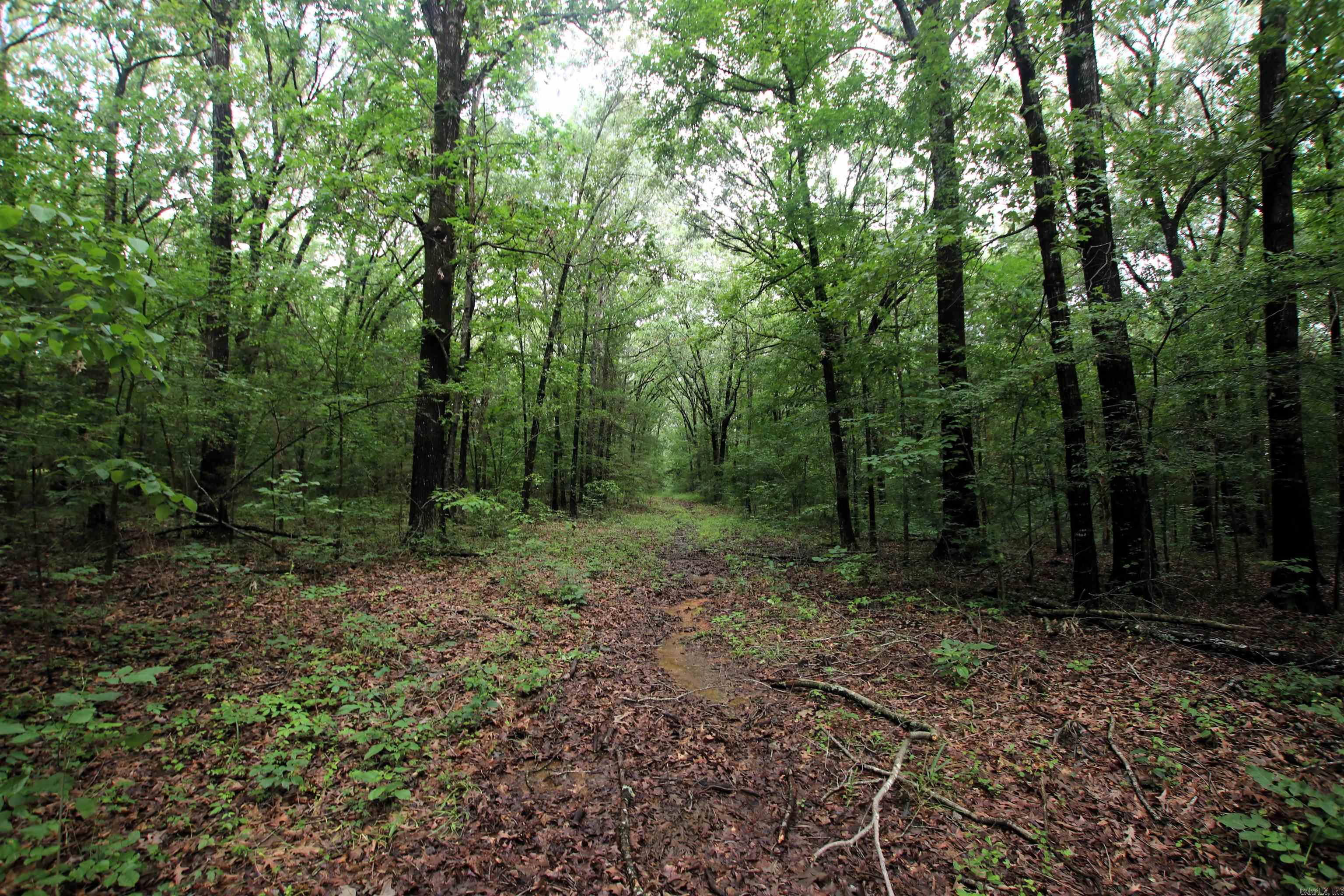 000  AVE 5 SW  Atkins, AR