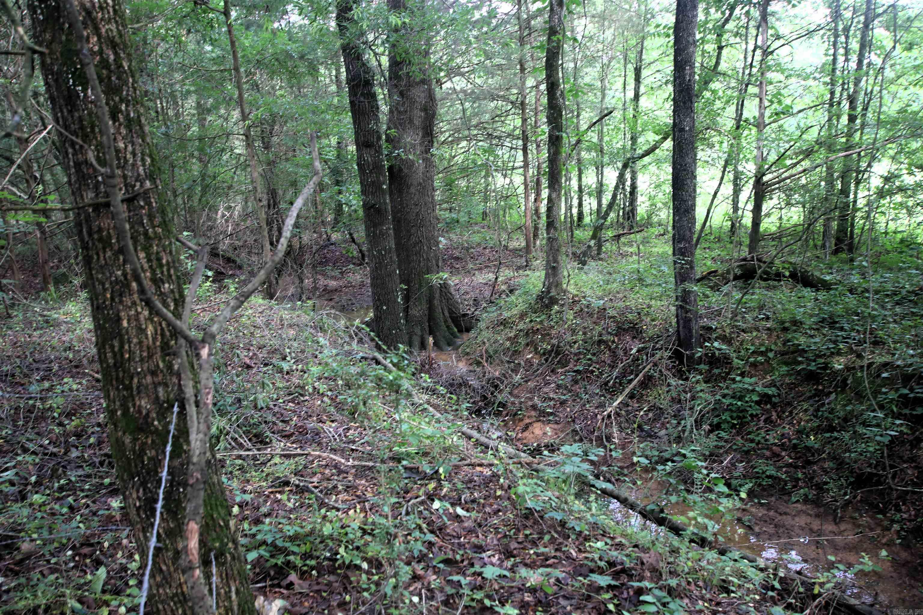 000  AVE 5 SW  Atkins, AR