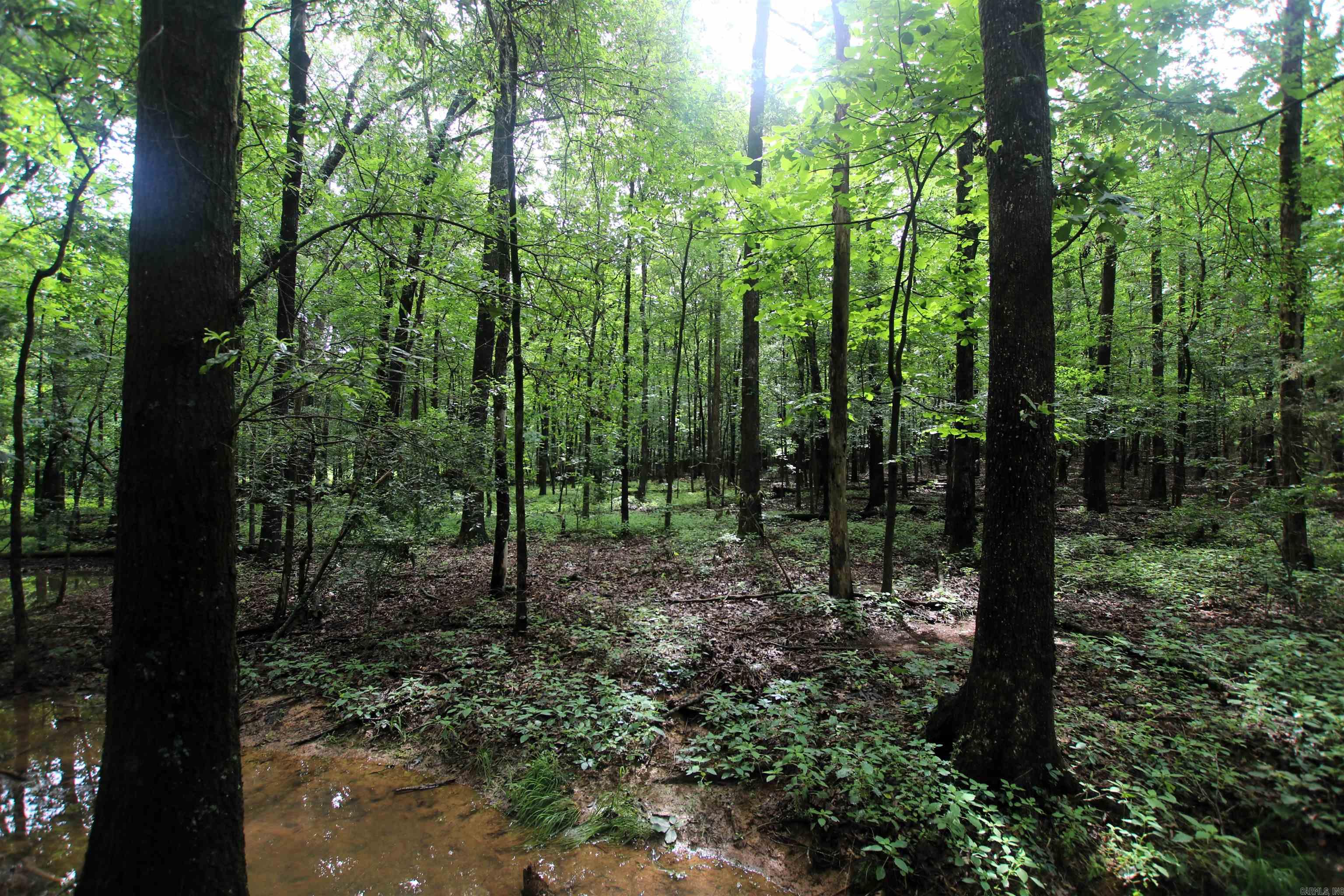 000  AVE 5 SW  Atkins, AR