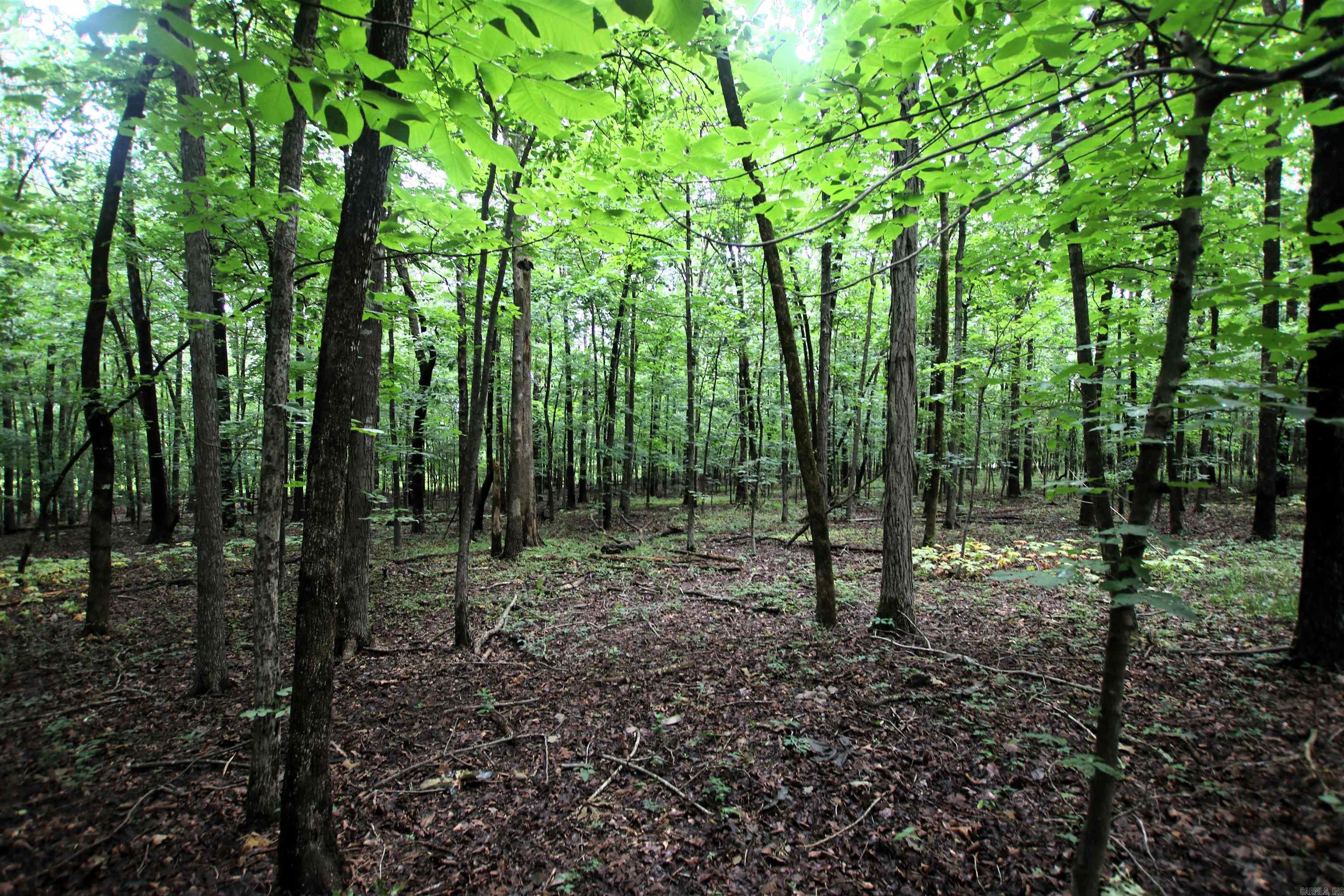 000  AVE 5 SW  Atkins, AR