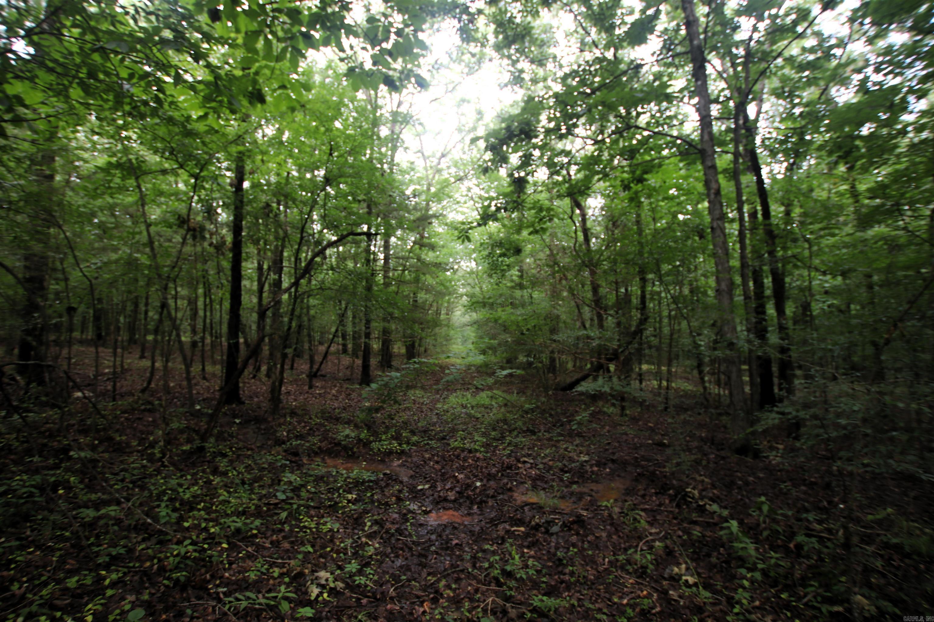 000  AVE 5 SW  Atkins, AR