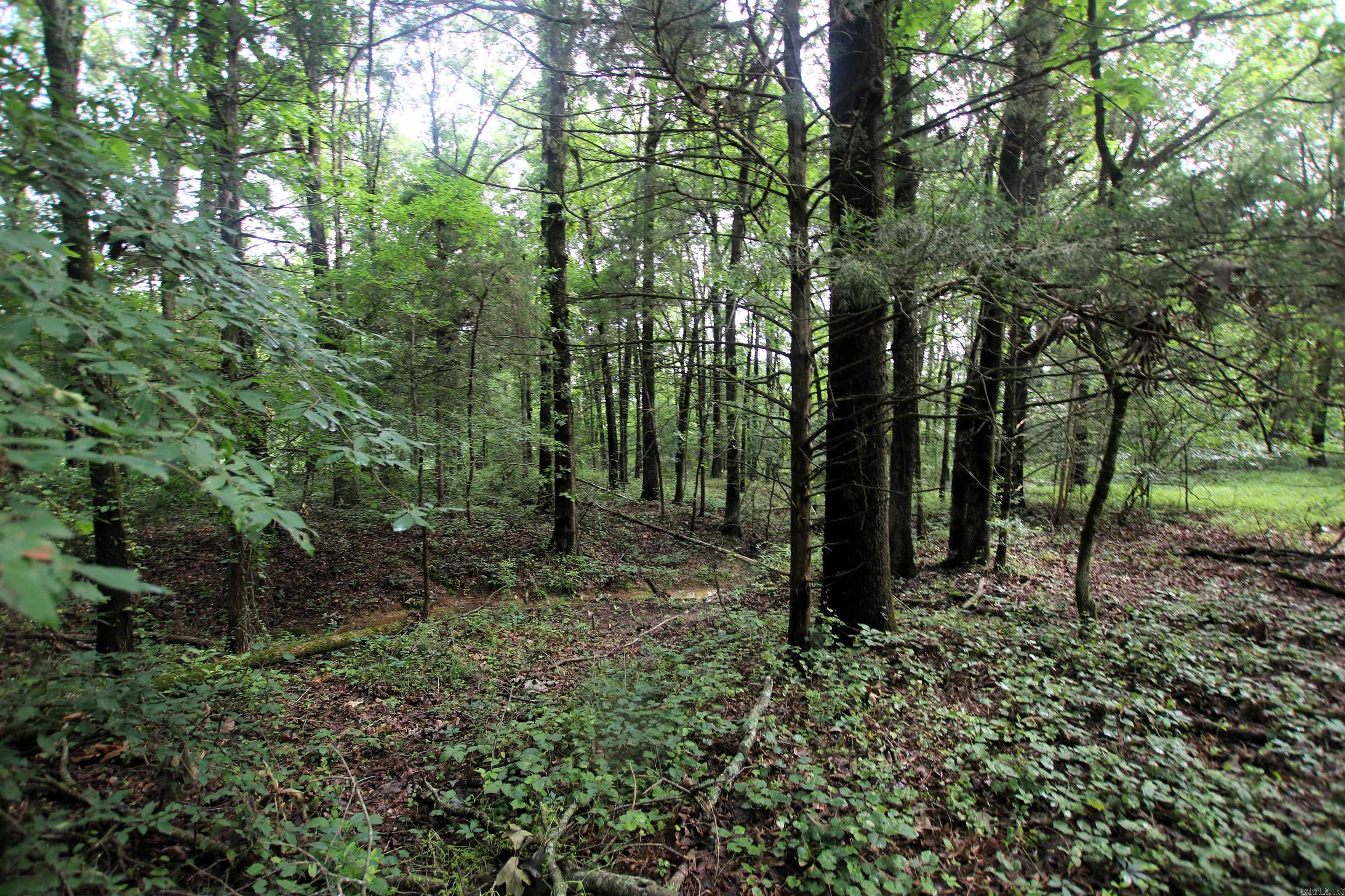000  AVE 5 SW  Atkins, AR