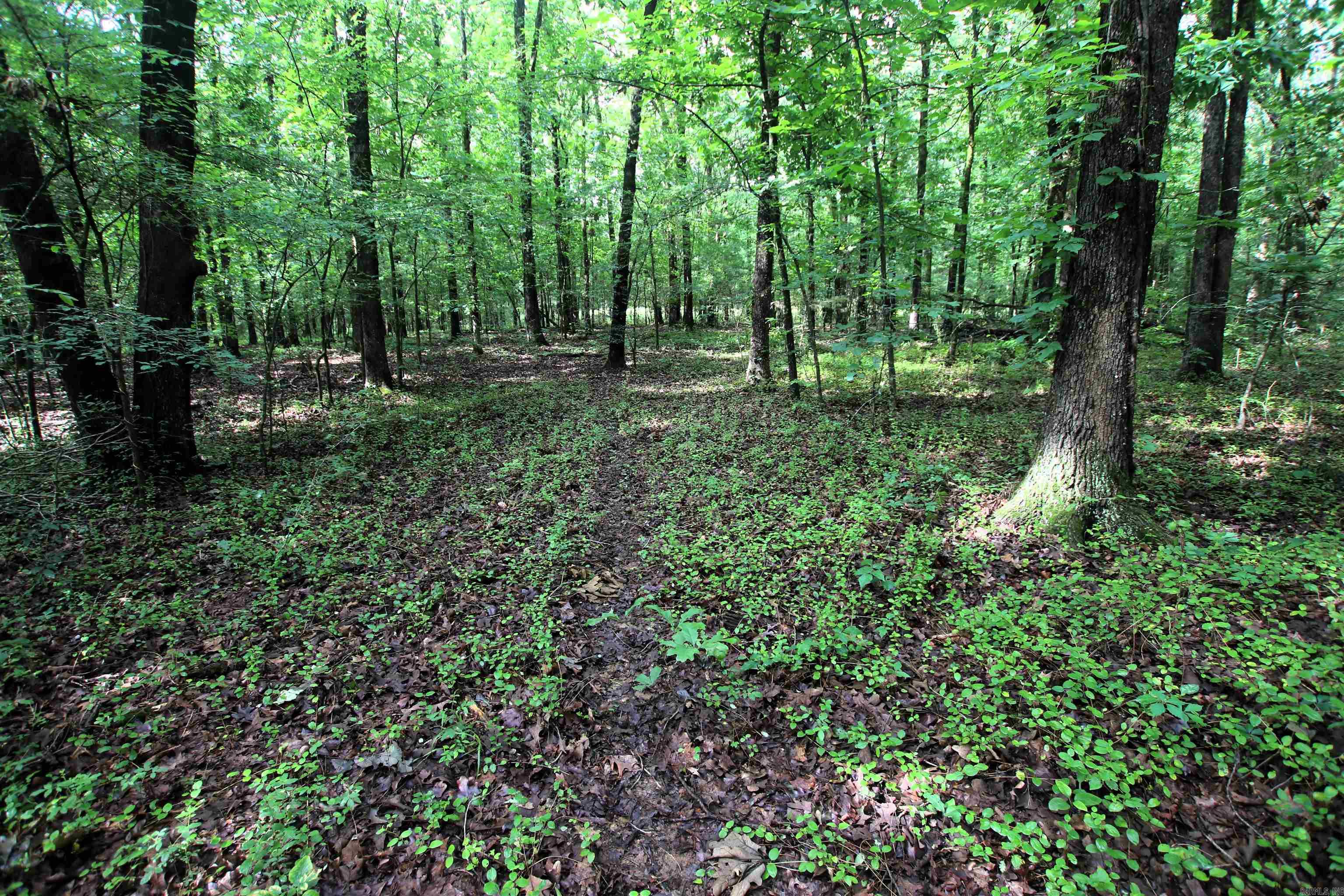 000  AVE 5 SW  Atkins, AR