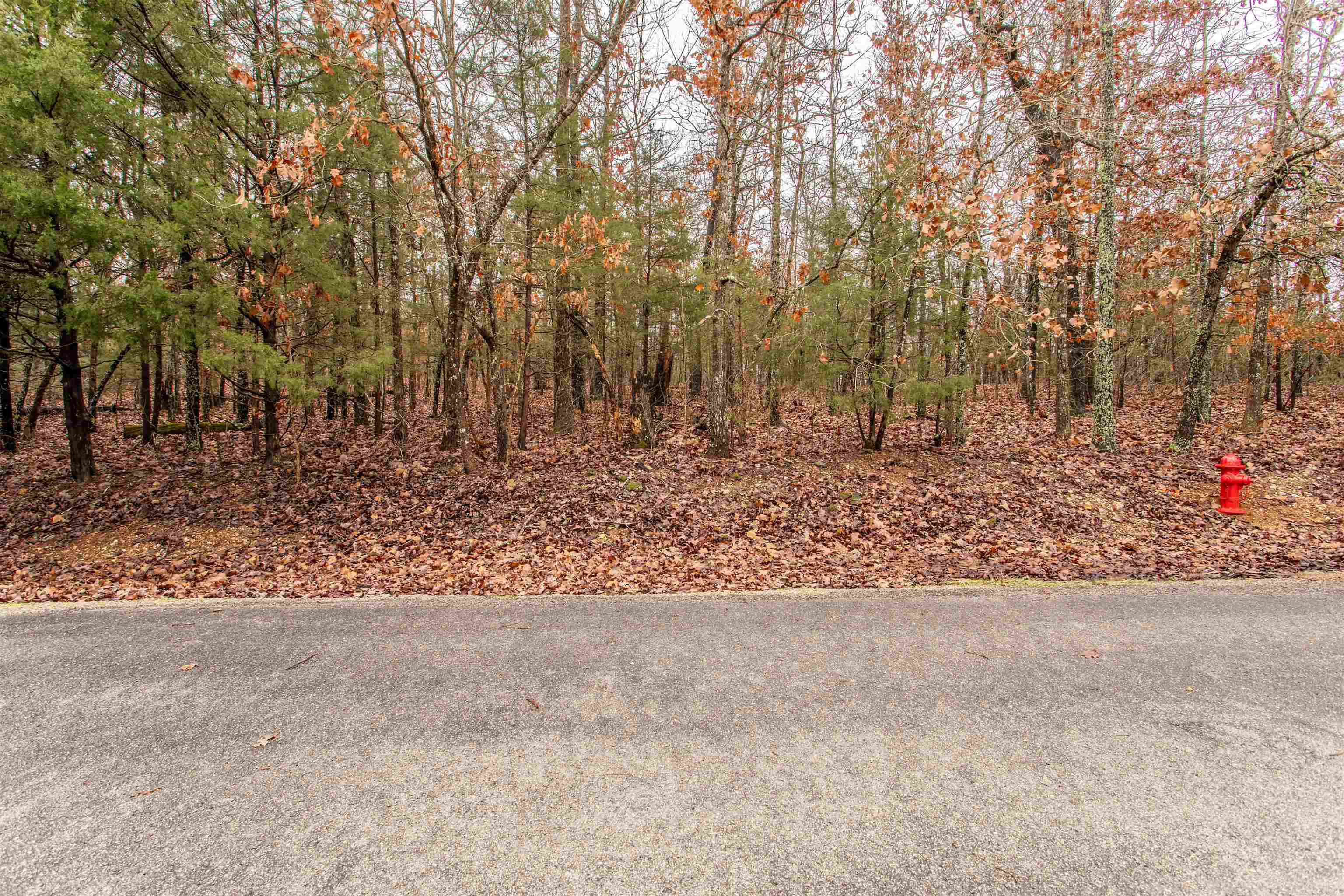 TBD  San Ildefonso Cir  Cherokee Village, AR