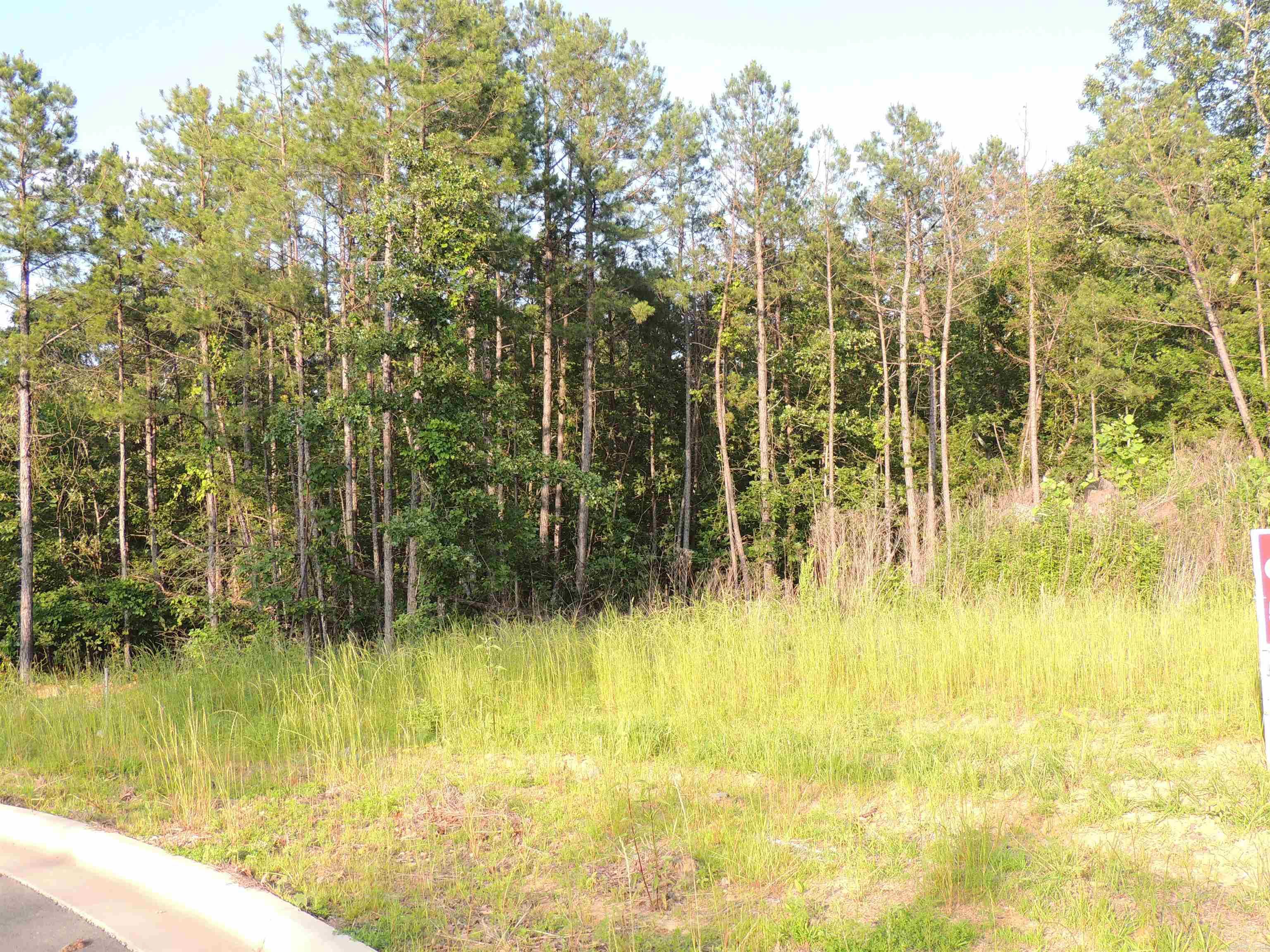 15824  Summit View Lane  Maumelle, AR
