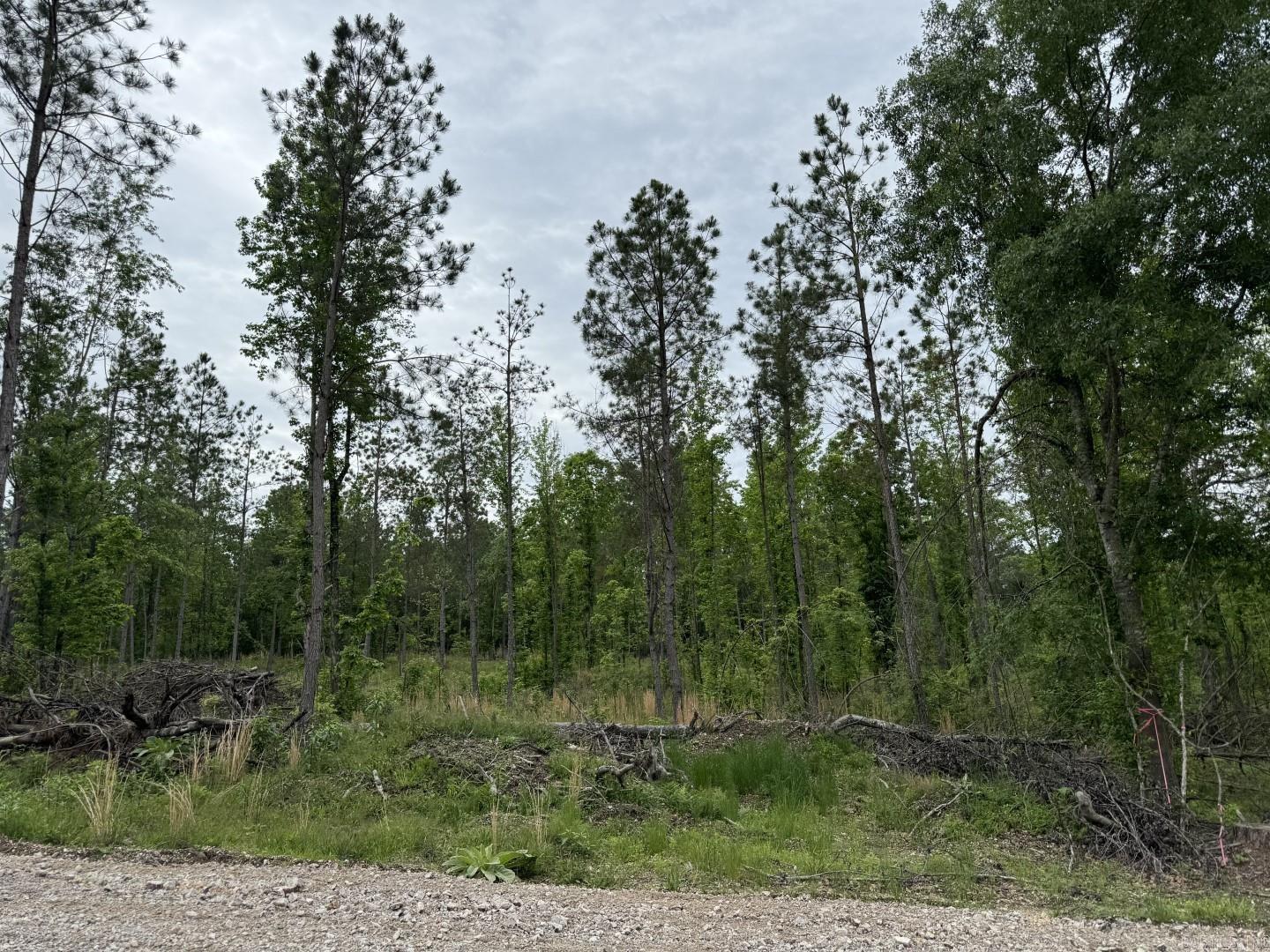 000  Seven Roses Lane  Lonsdale, AR