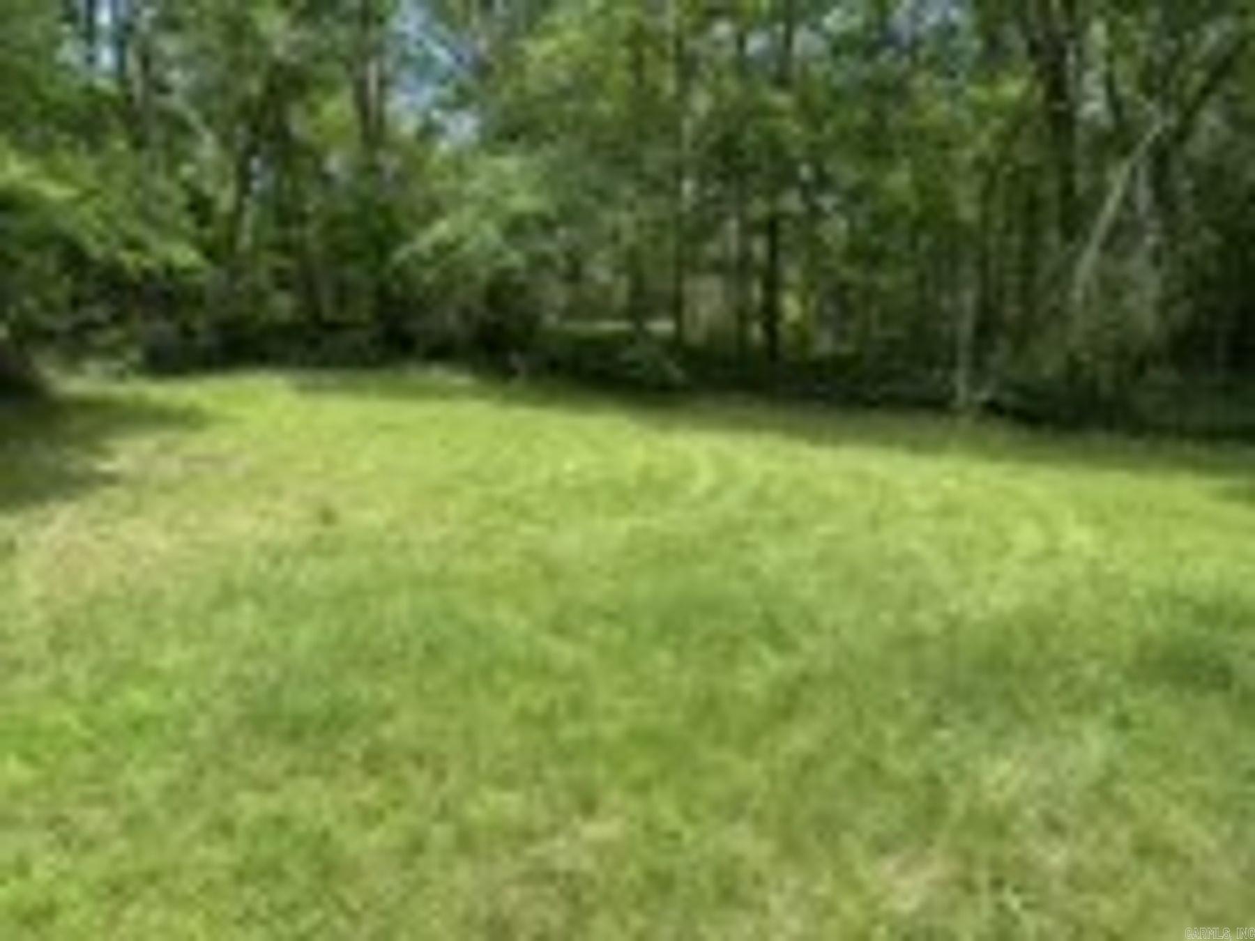 411  Palmetto Street  Hot Springs, AR