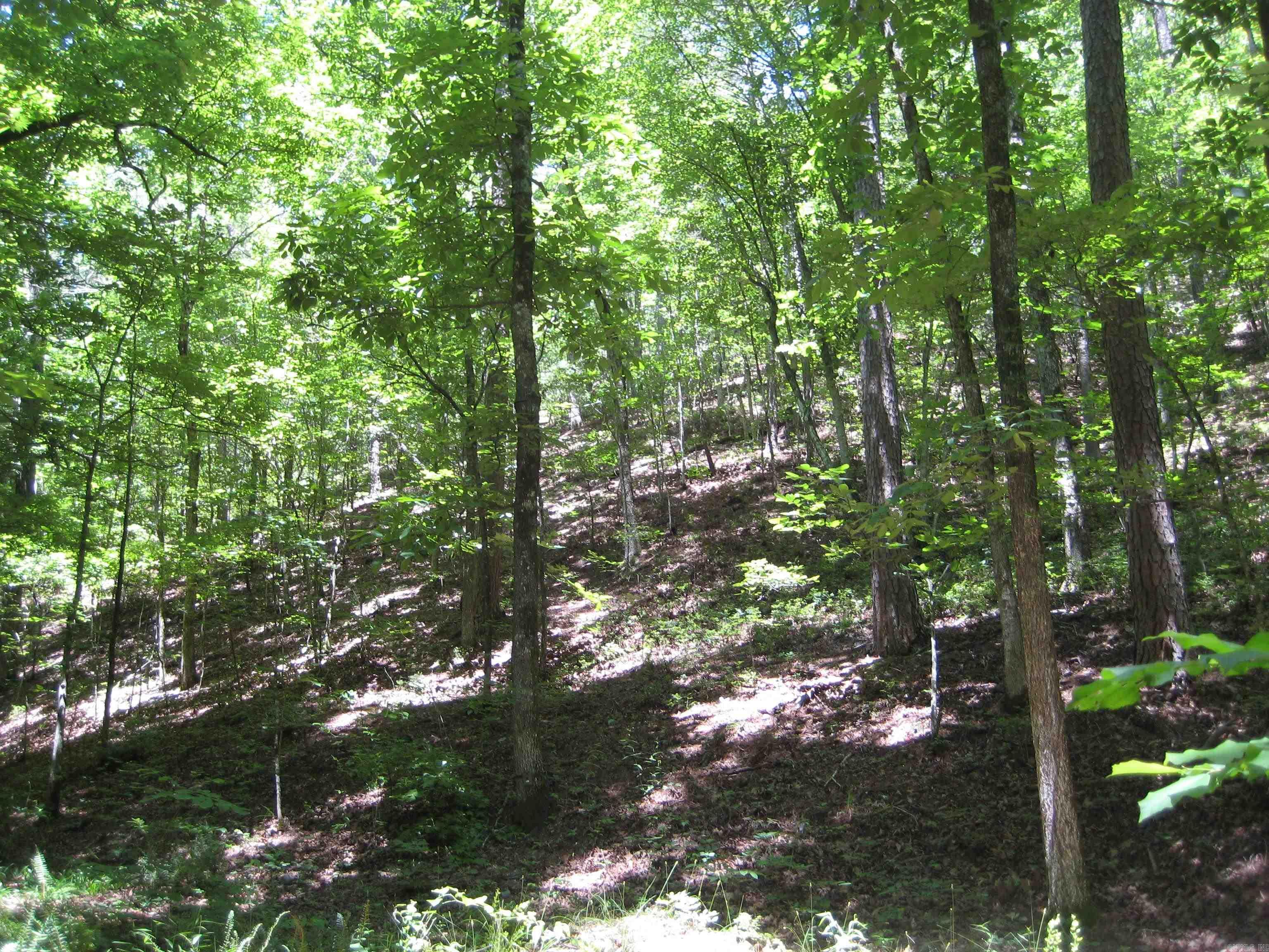 Confidential Address Lane Mena, AR 71953