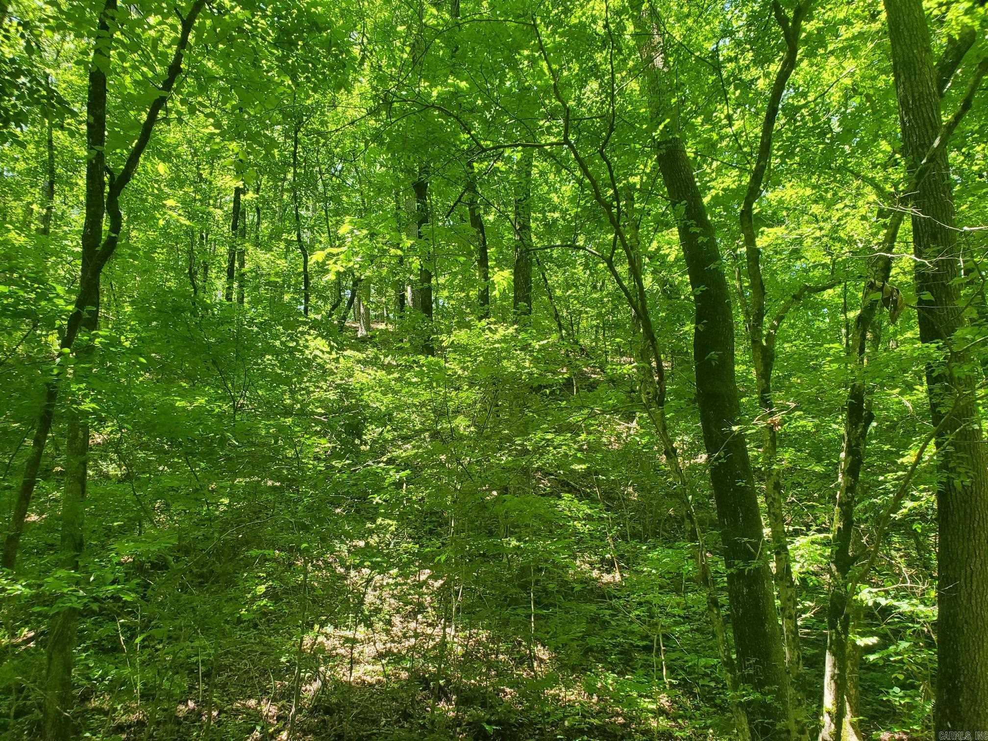 189 Hiawatha  Mena, AR