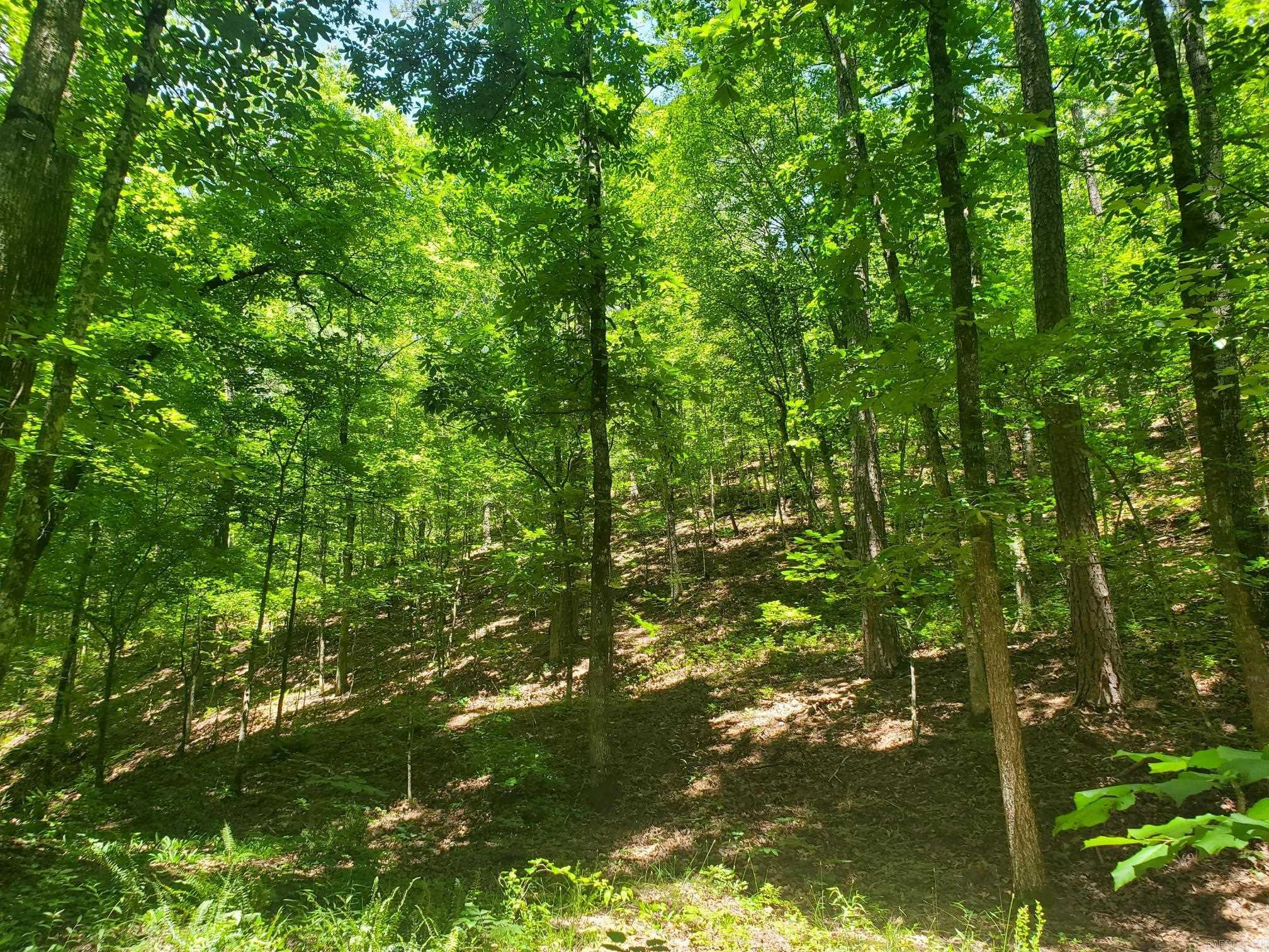 189 Hiawatha  Mena, AR