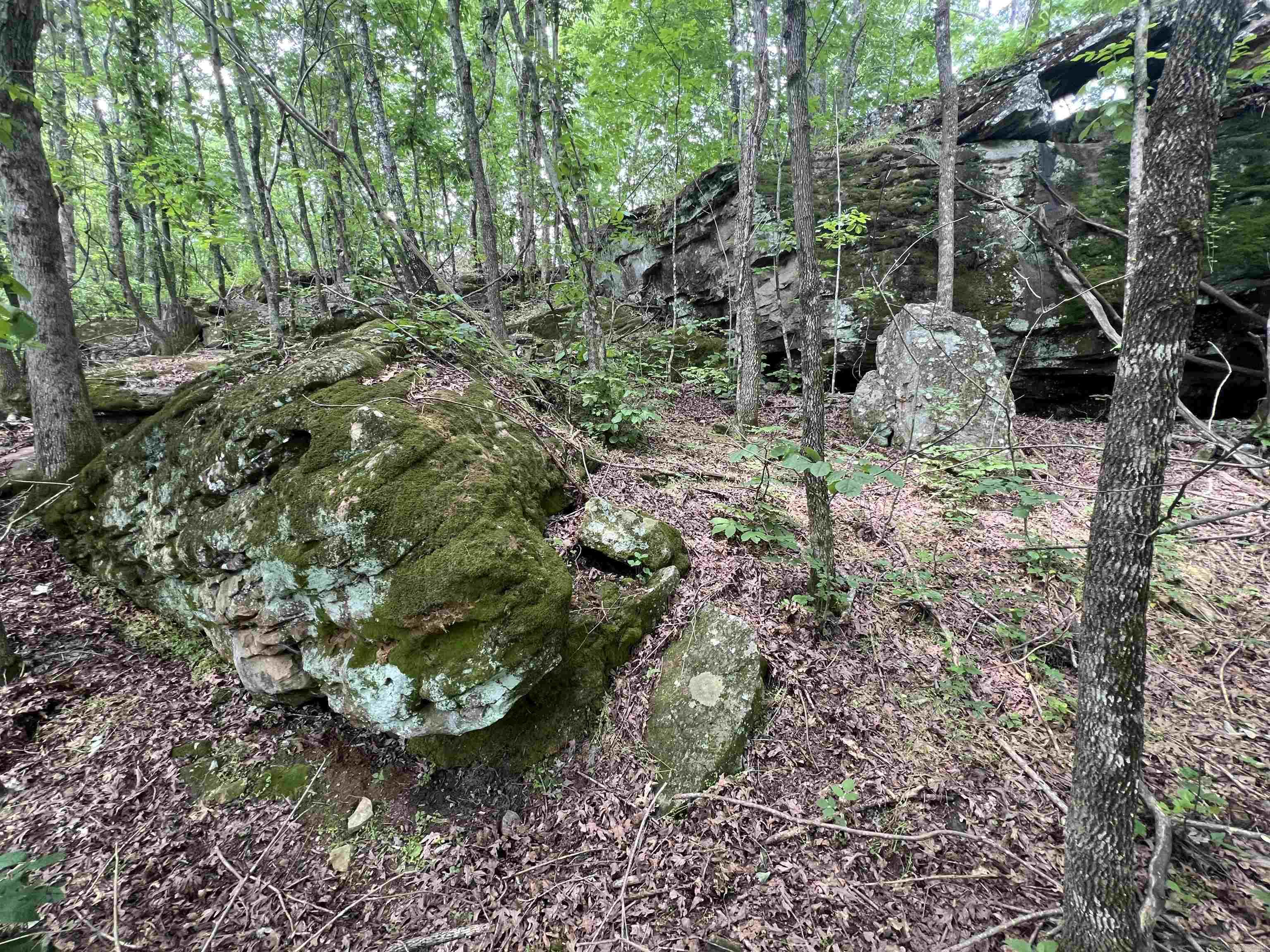 21052  Highway 27 S.  Marshall, AR