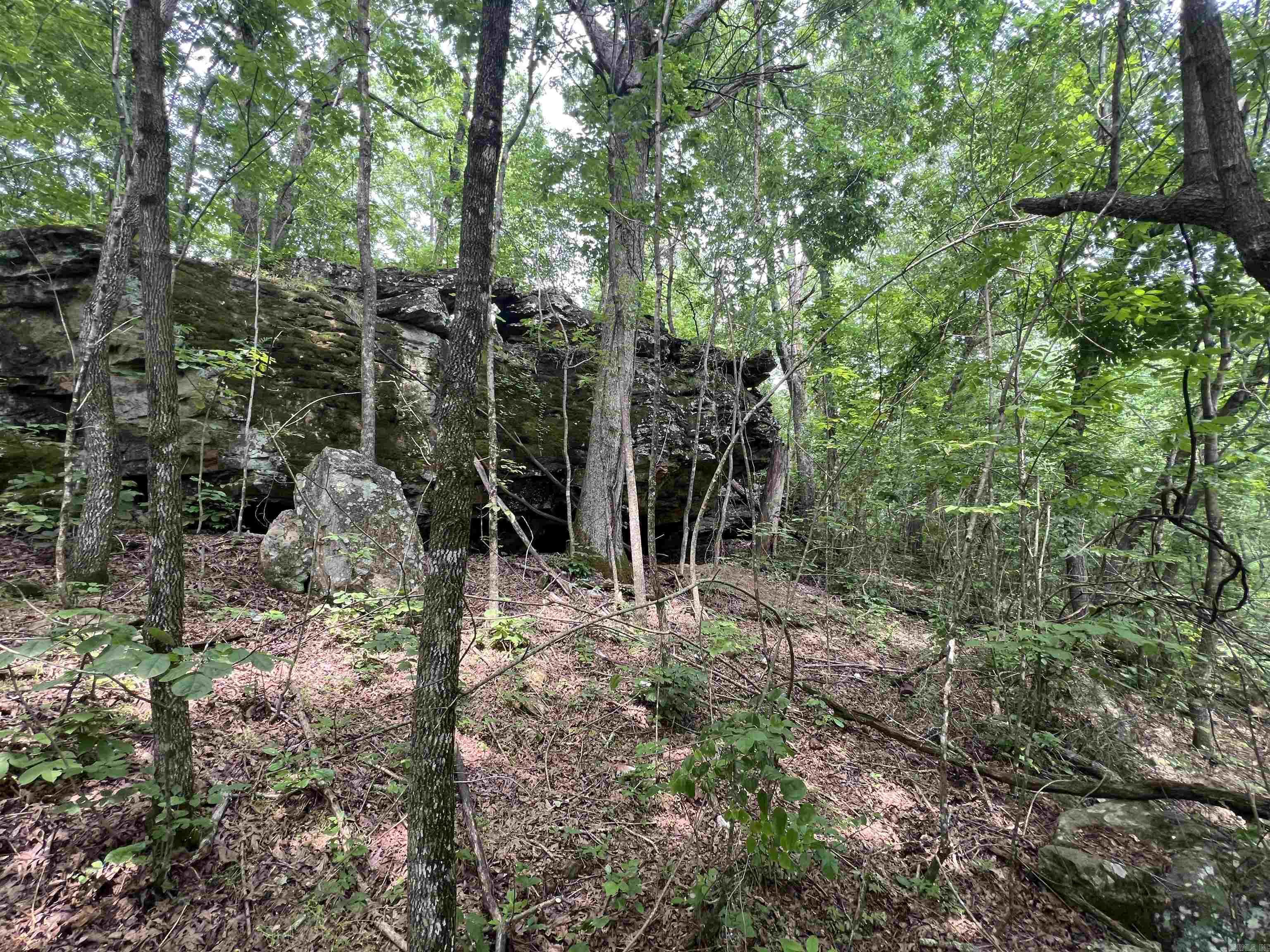 21052  Highway 27 S.  Marshall, AR