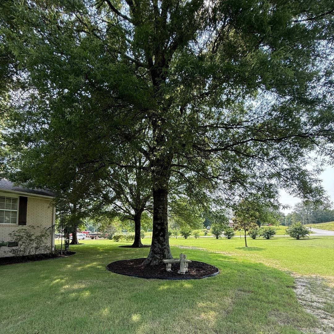 641  Greene 729  Paragould, AR