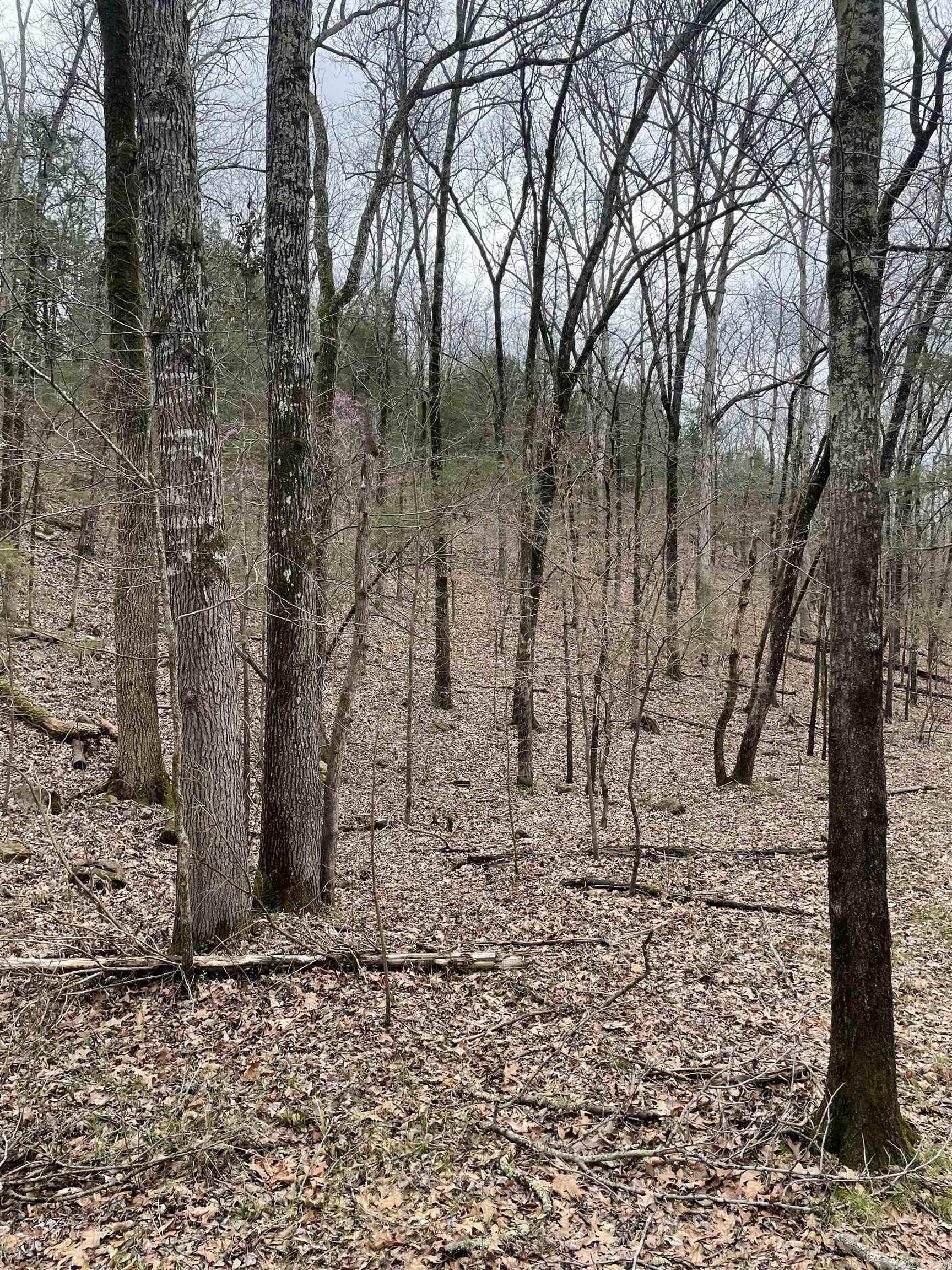 TBD  Happy Hills  Conway, AR